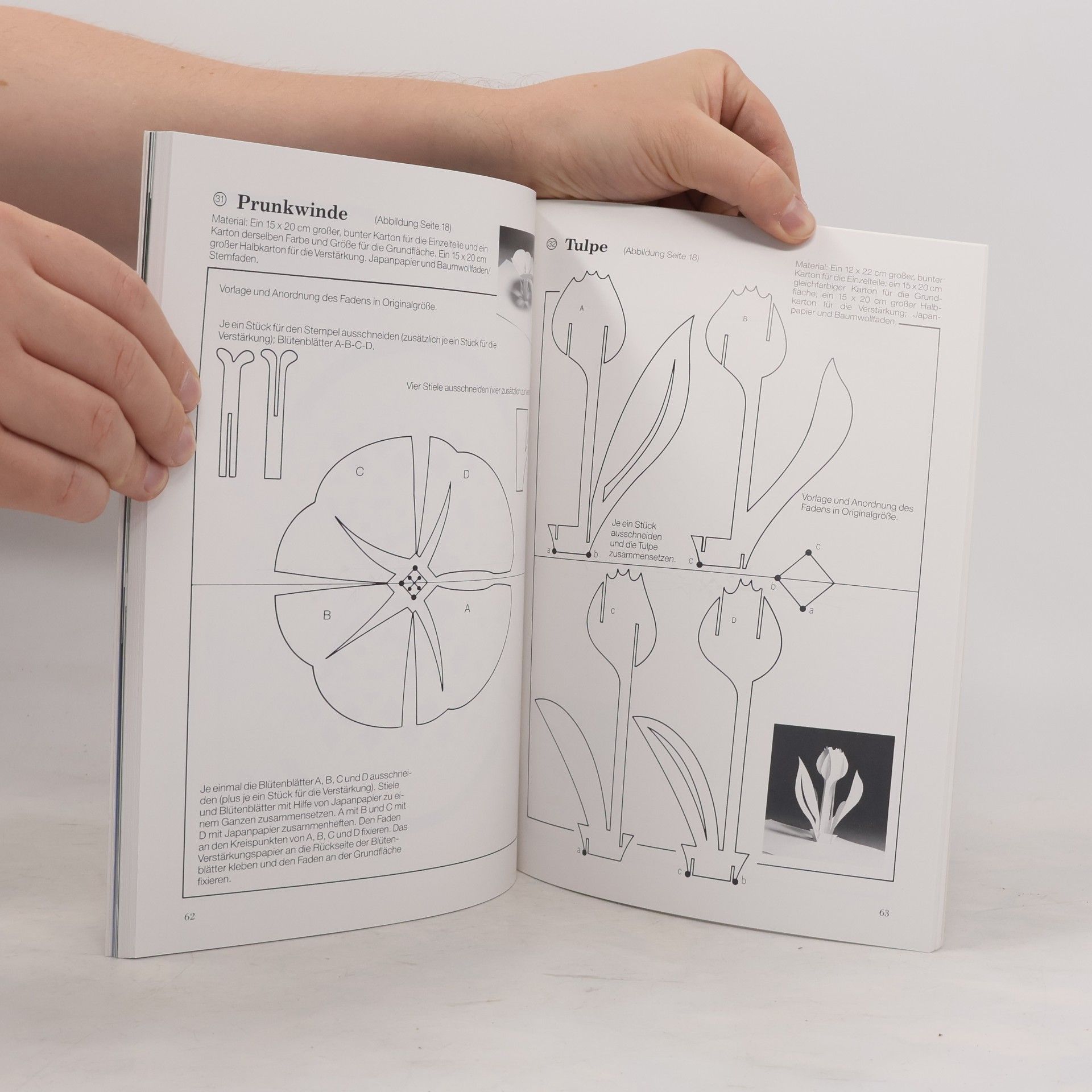 Masahiro Chatani Kunstwerke aus papier. Band 2