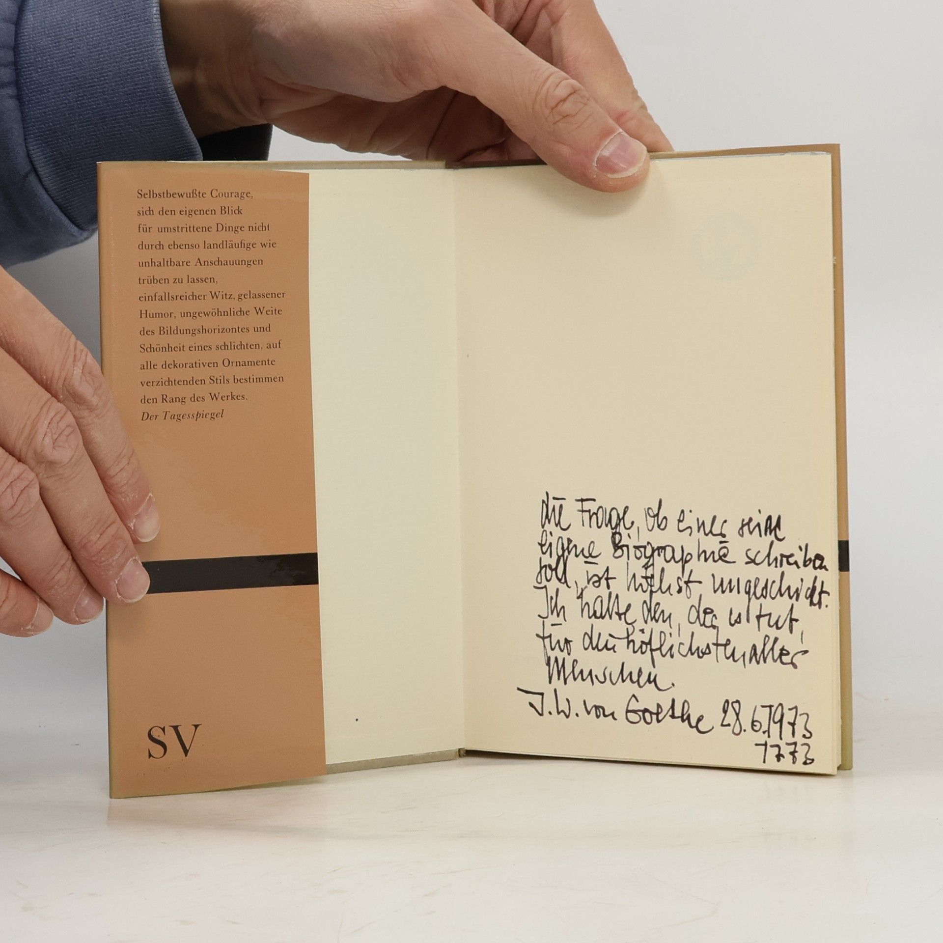 Harold Nicolson Die Kunst der Biographie und andere Essays