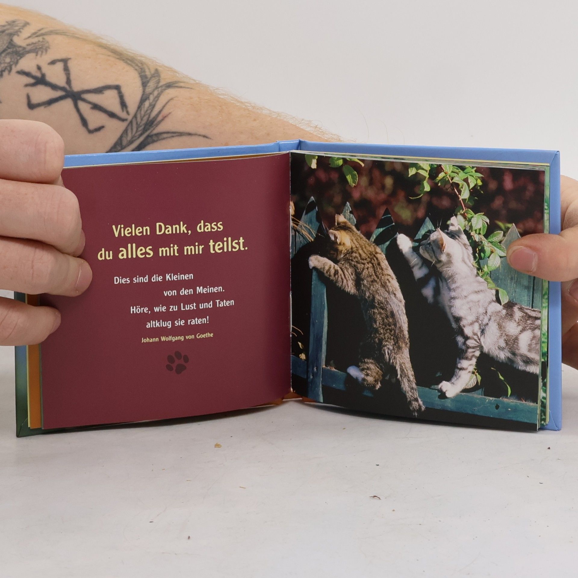 Autorenkollektiv Herzliche Tatzengrüße
