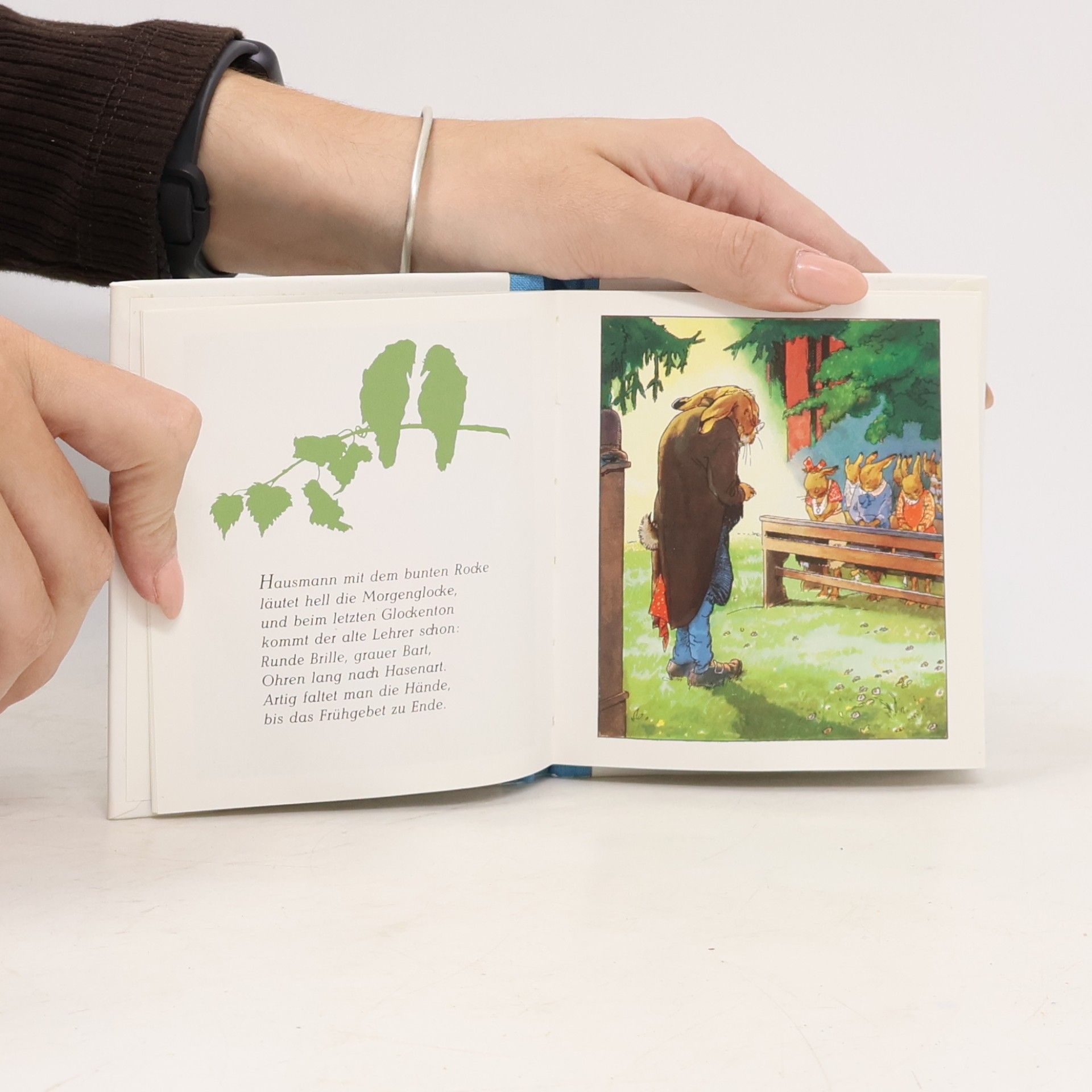 Albert Sixtus Die Häschenschule. Ein lustiges Bilderbuch