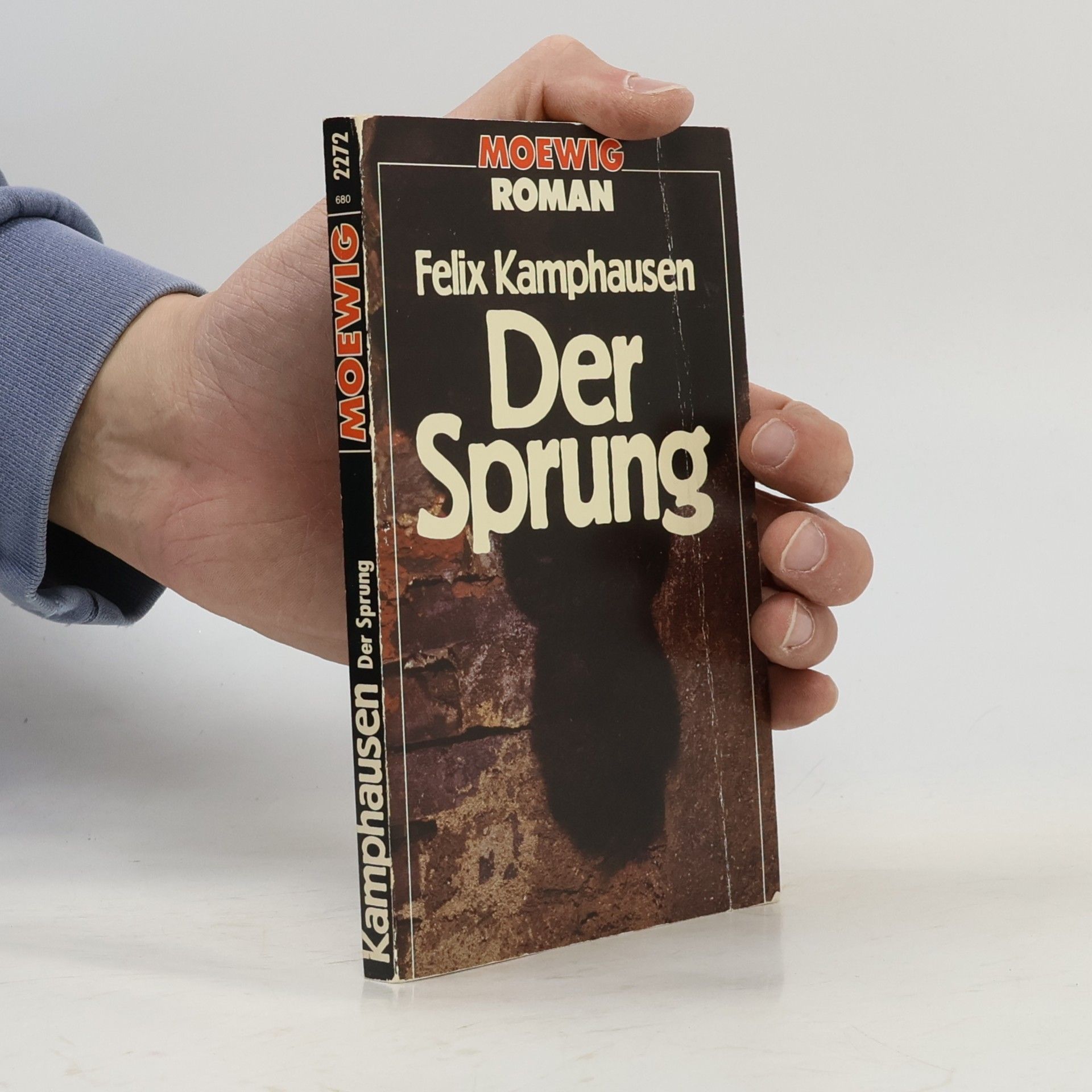 Felix Kamphausen Der Sprung. Roman