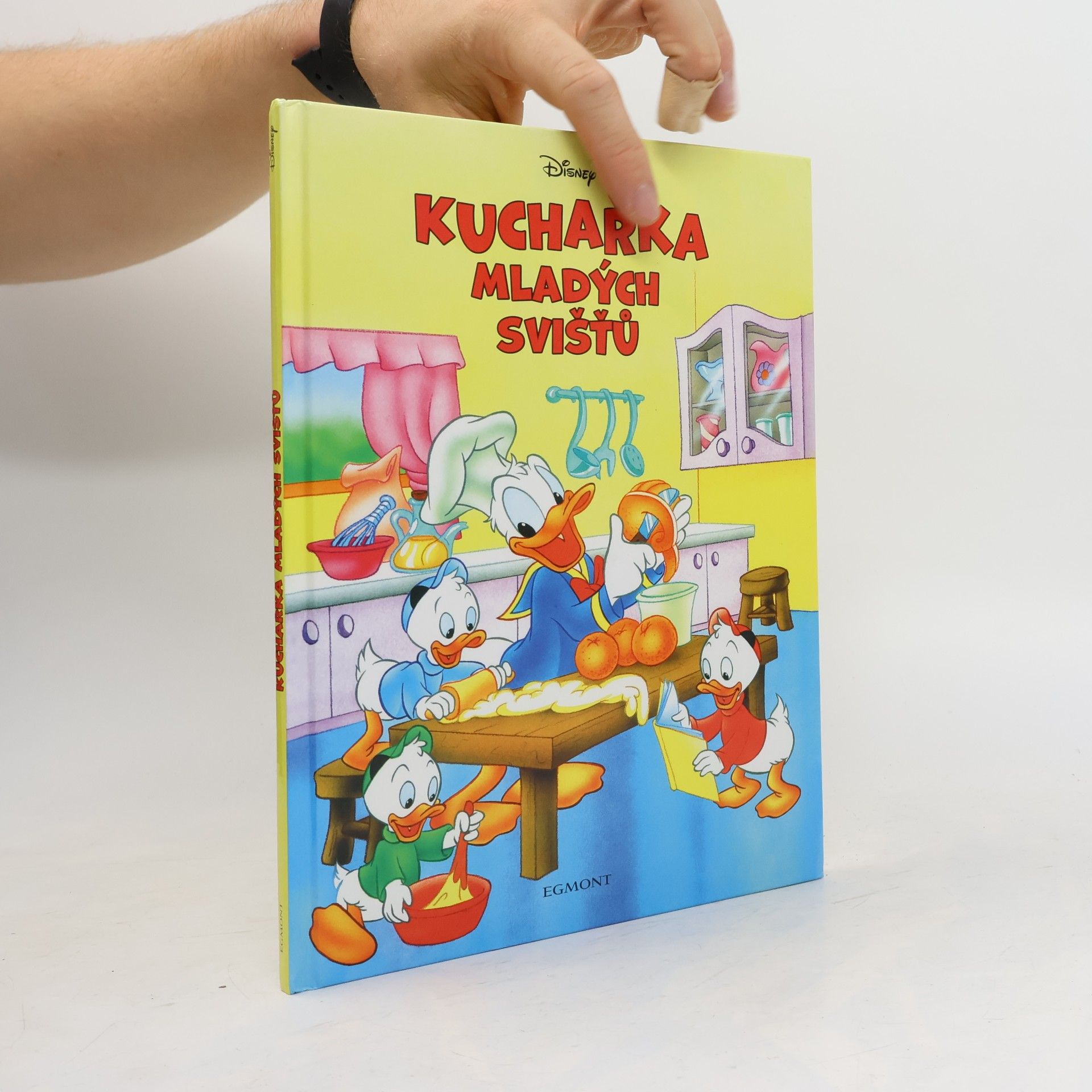 Various authors Kuchařka mladých svišťů