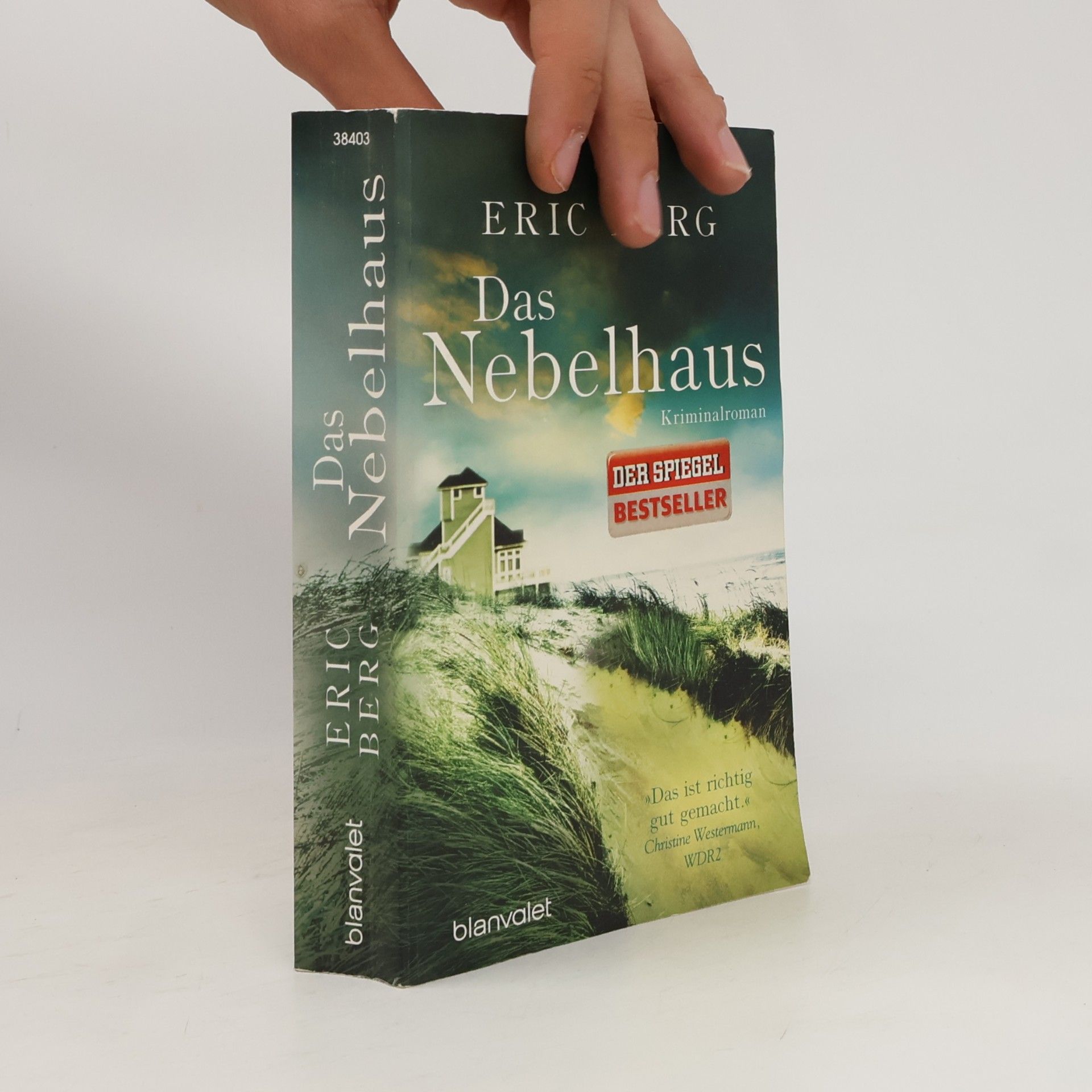 Eric Berg Das Nebelhaus