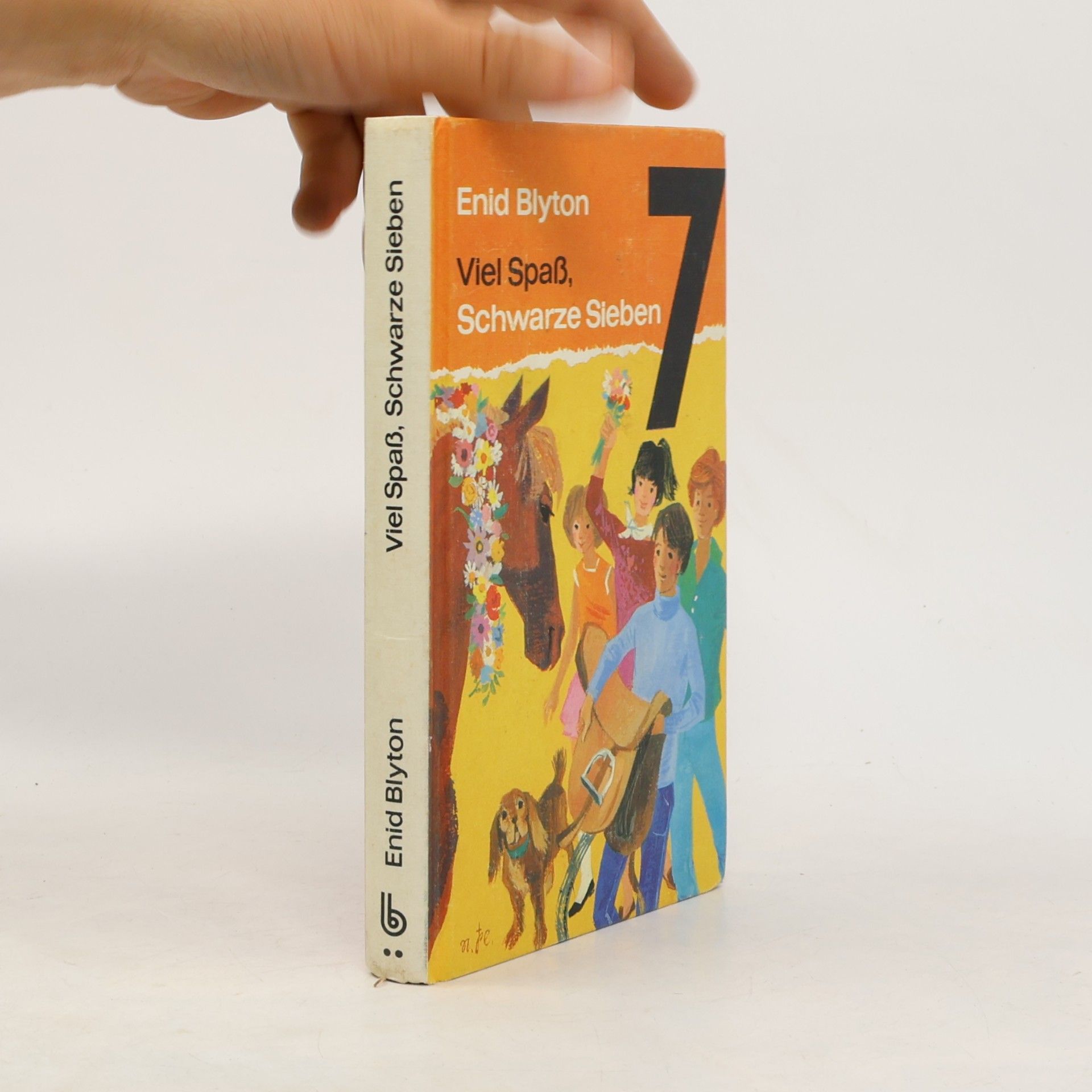 Enid Blyton Viel Spass, Schwarze Sieben