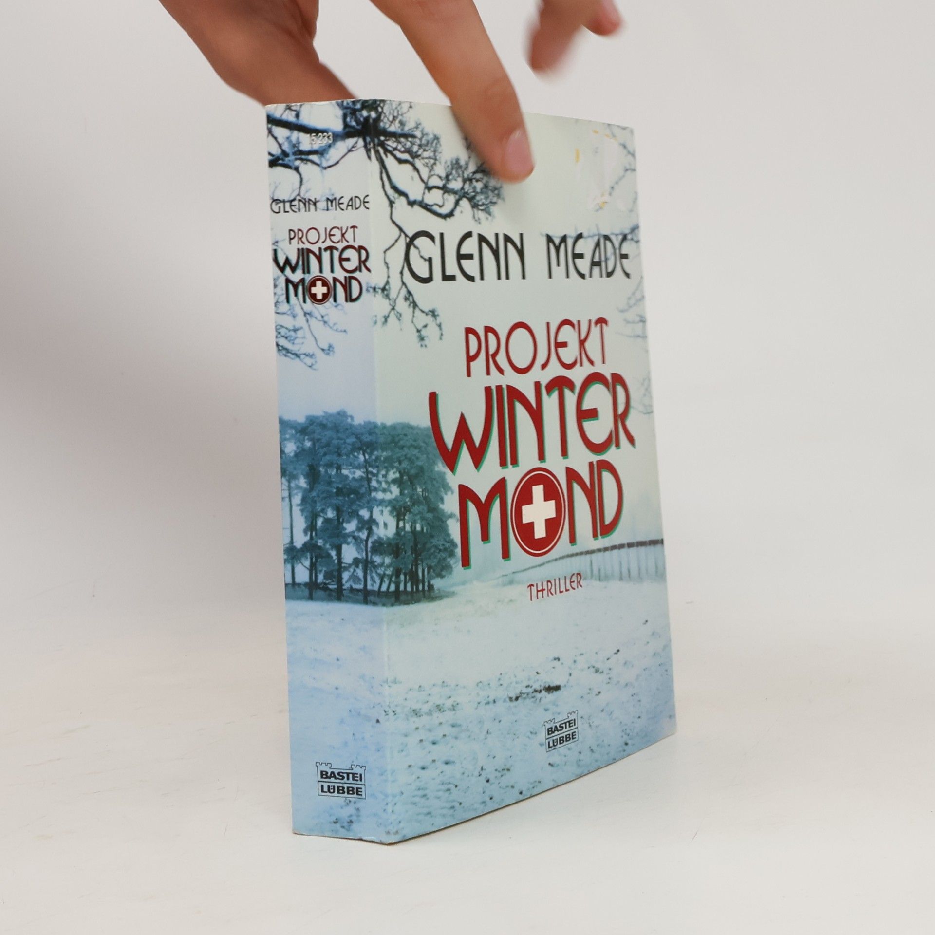 Glenn Meade Projekt winter mind