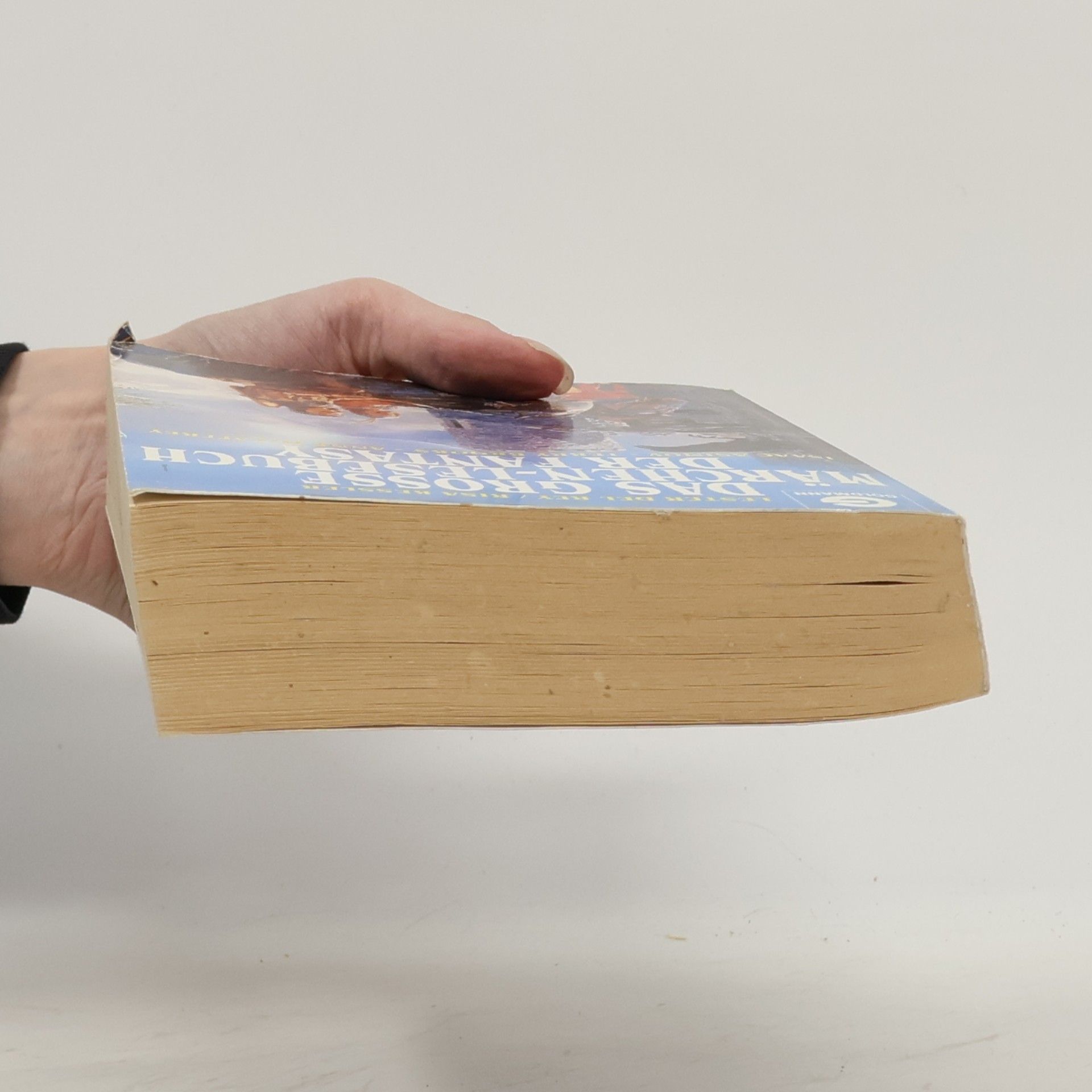 Isaac Asimov Das grosse Märchen-Lesebuch der Fantasy