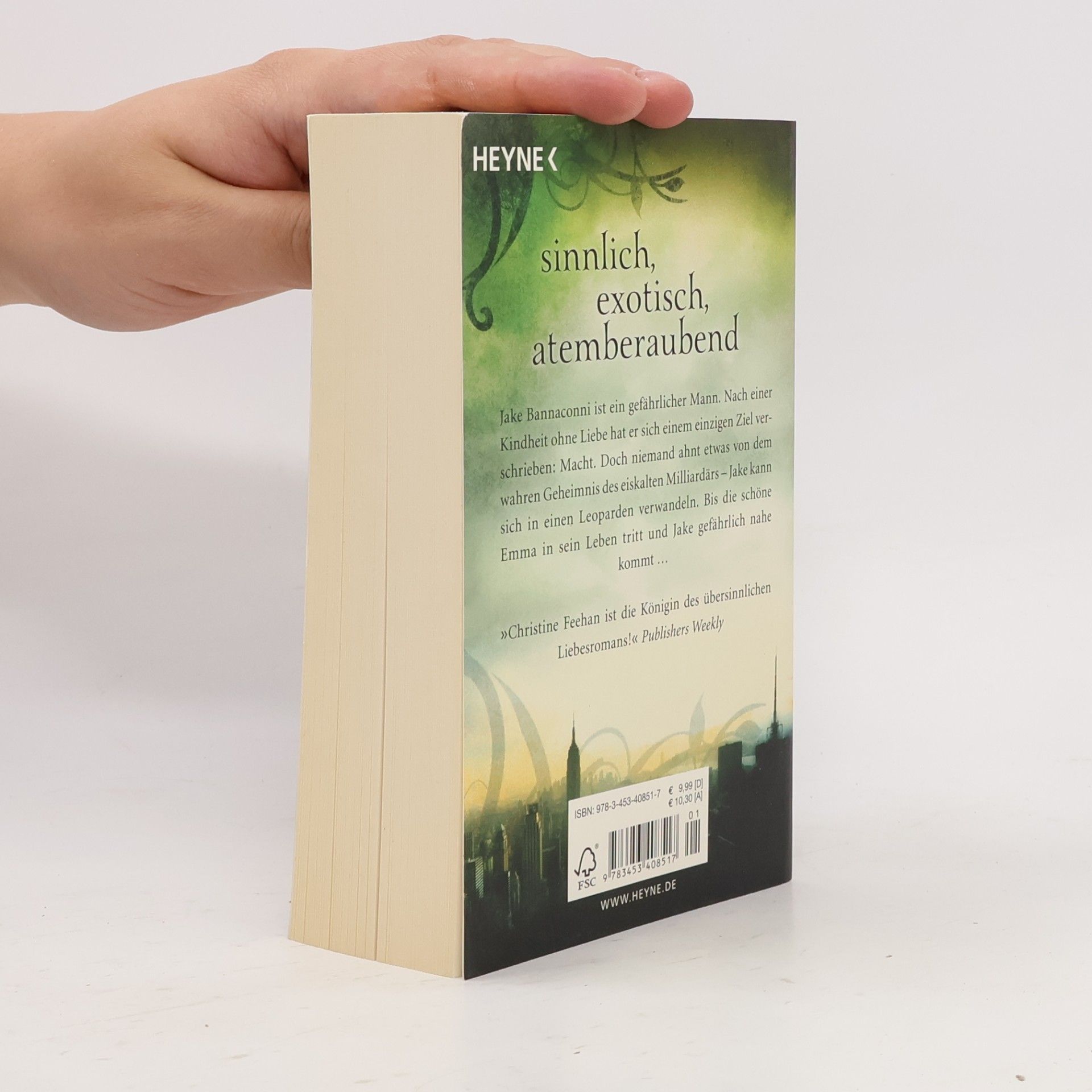 Christine Feehan Magisches Feuer