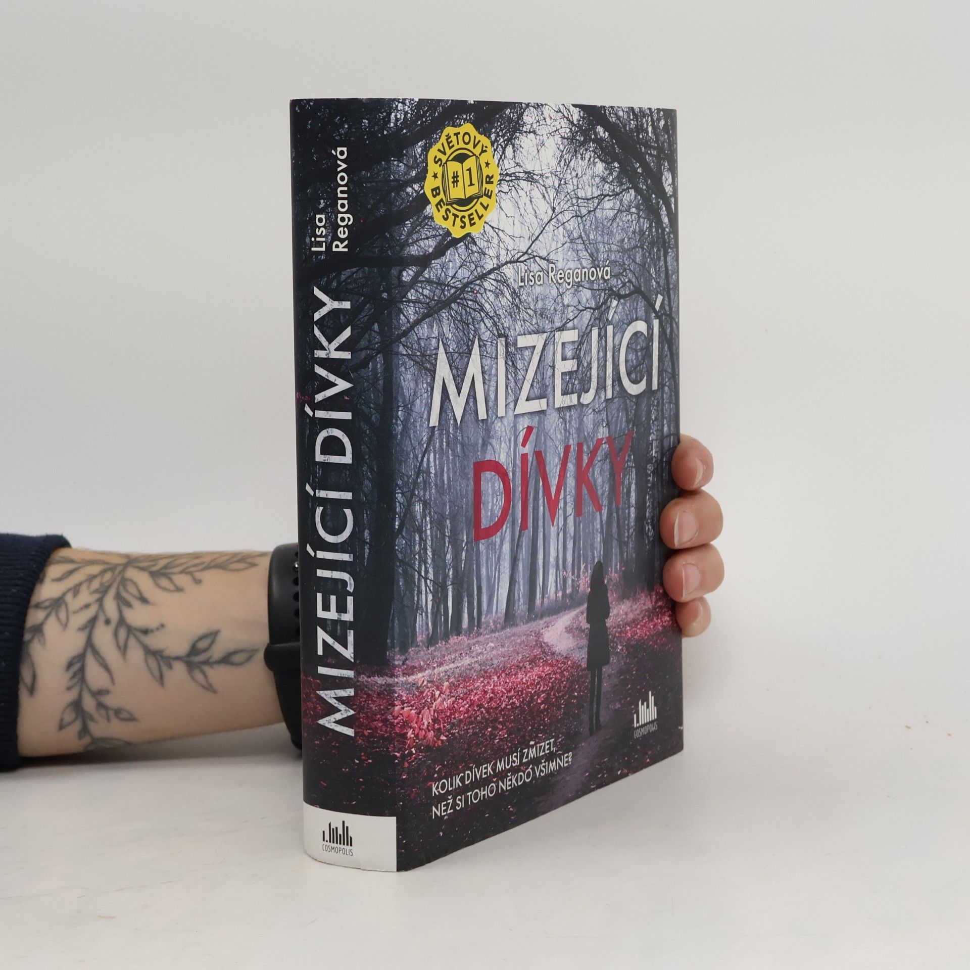 Lisa Regan Mizející dívky