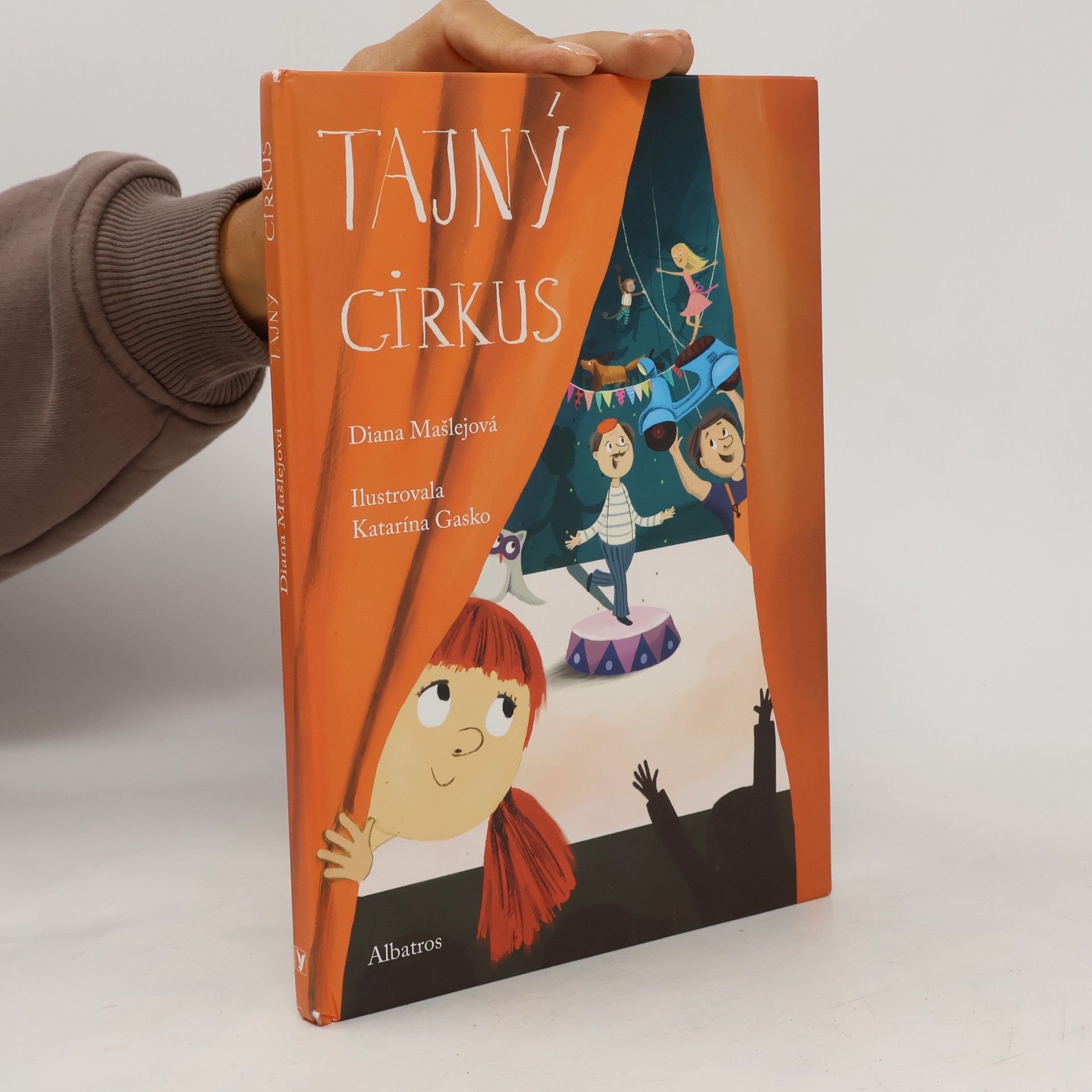 Diana Mašlejová Tajný cirkus