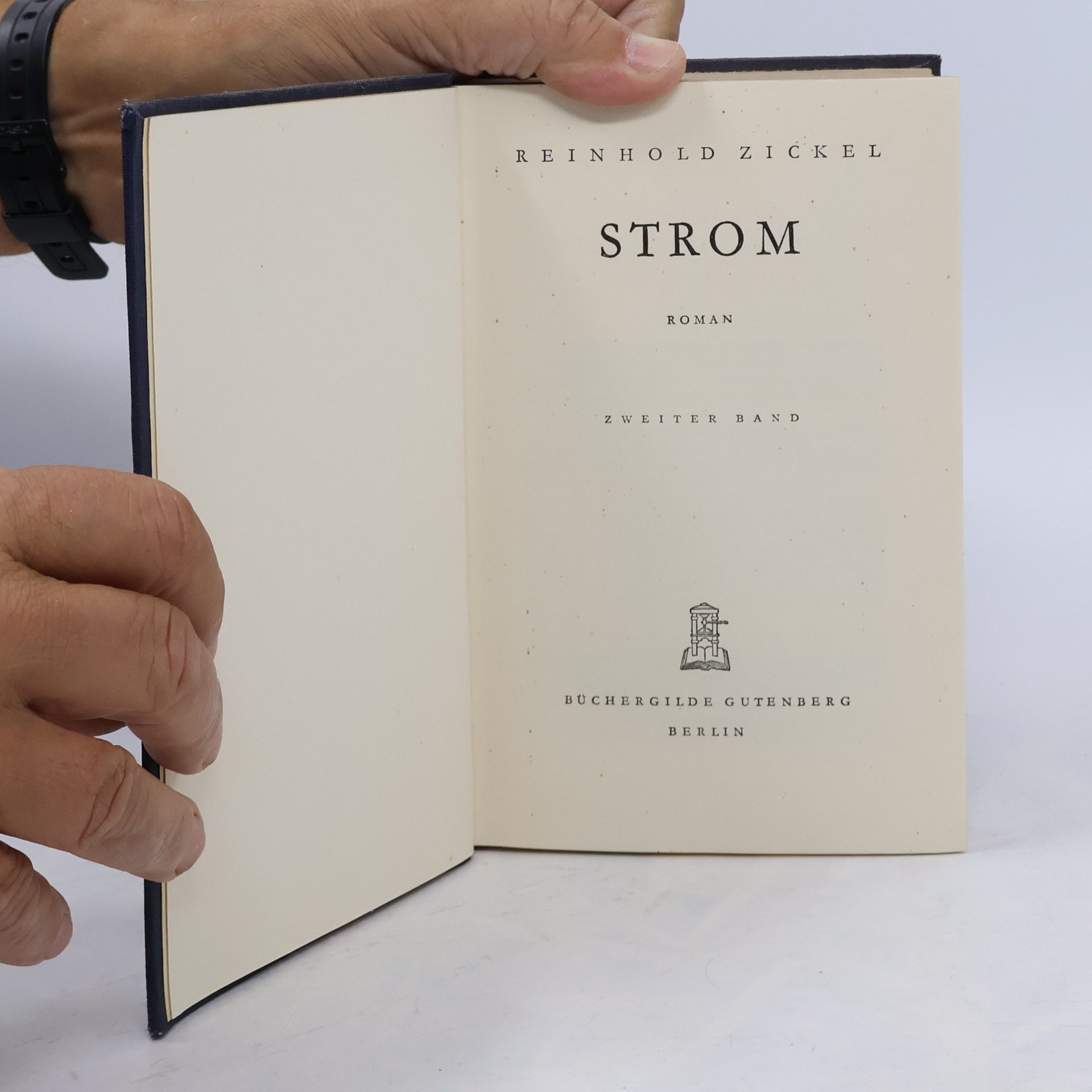 Reinhold Zickel Strom 2