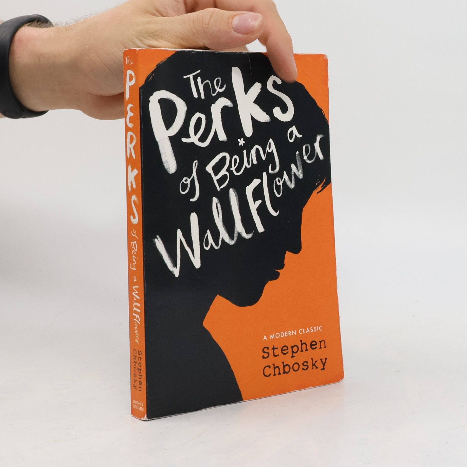 Stephen Chbosky The Perks of Being a Wallflower