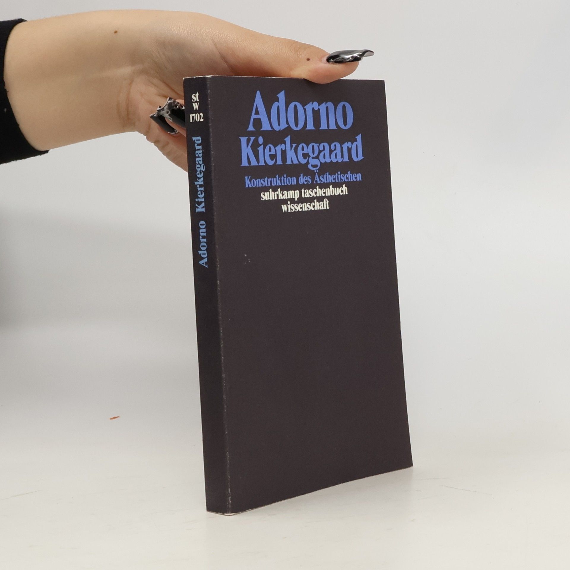 Theodor Wiesengrund Adorno Kierkegaard