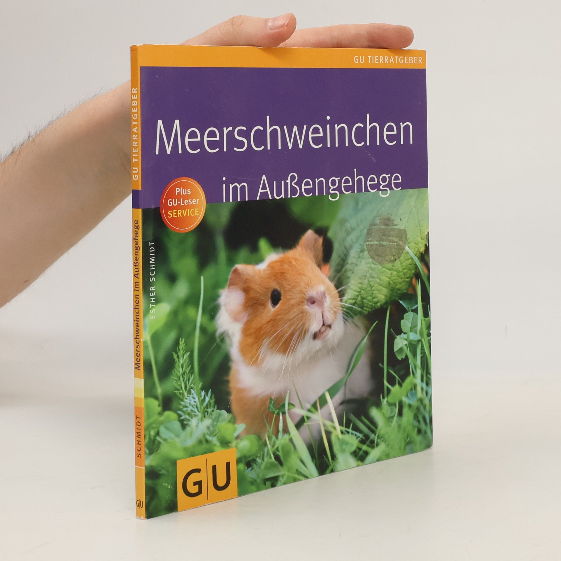 Esther Schmidt Meerschweinchen im Außengehege