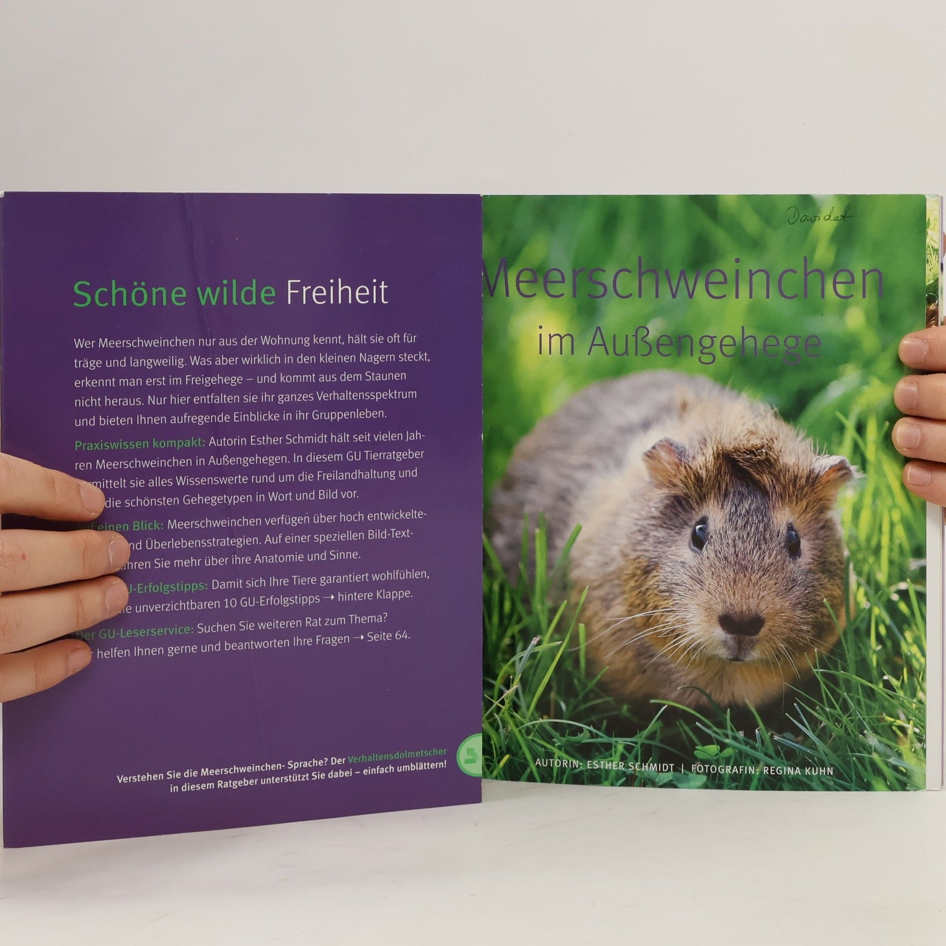 Esther Schmidt Meerschweinchen im Außengehege