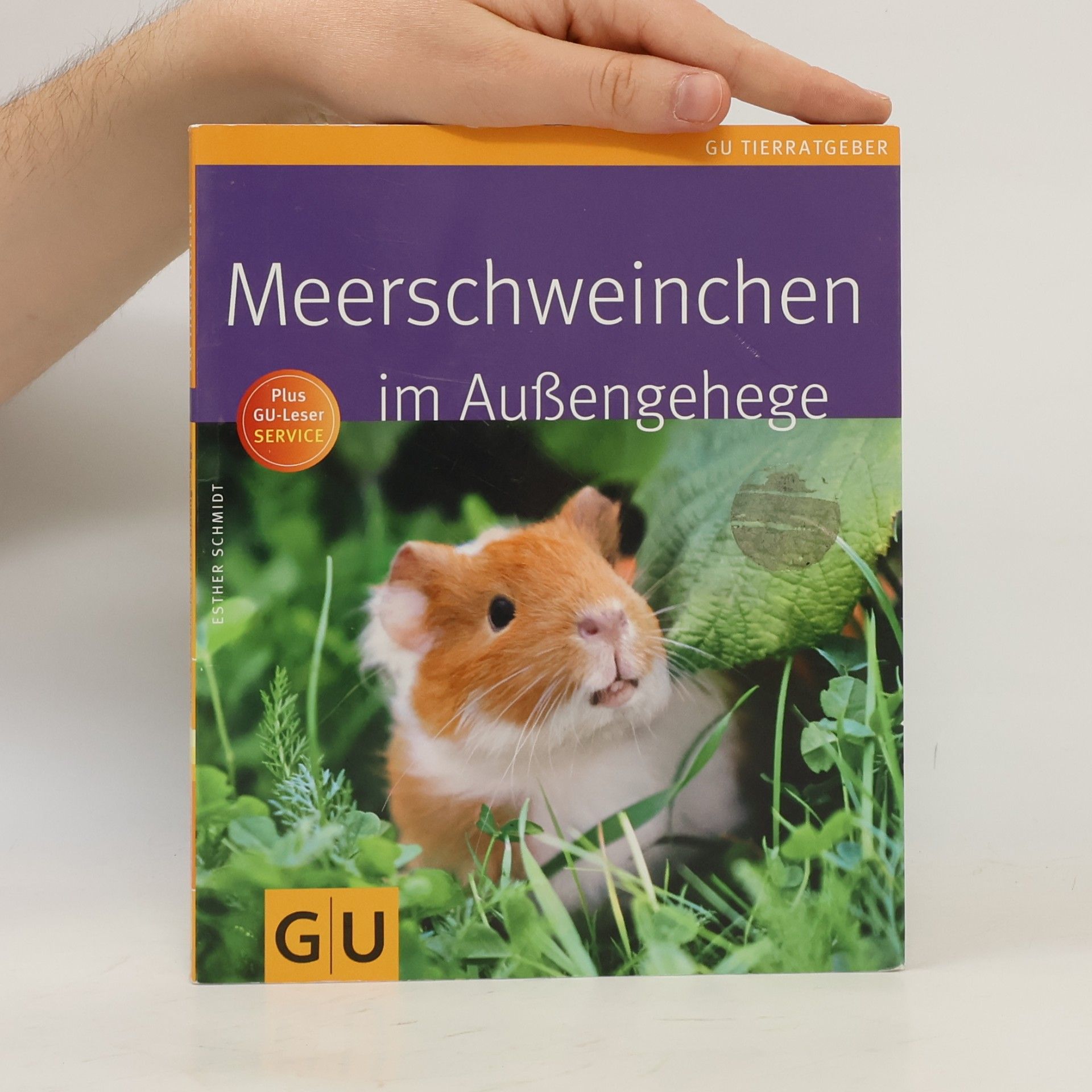 Esther Schmidt Meerschweinchen im Außengehege