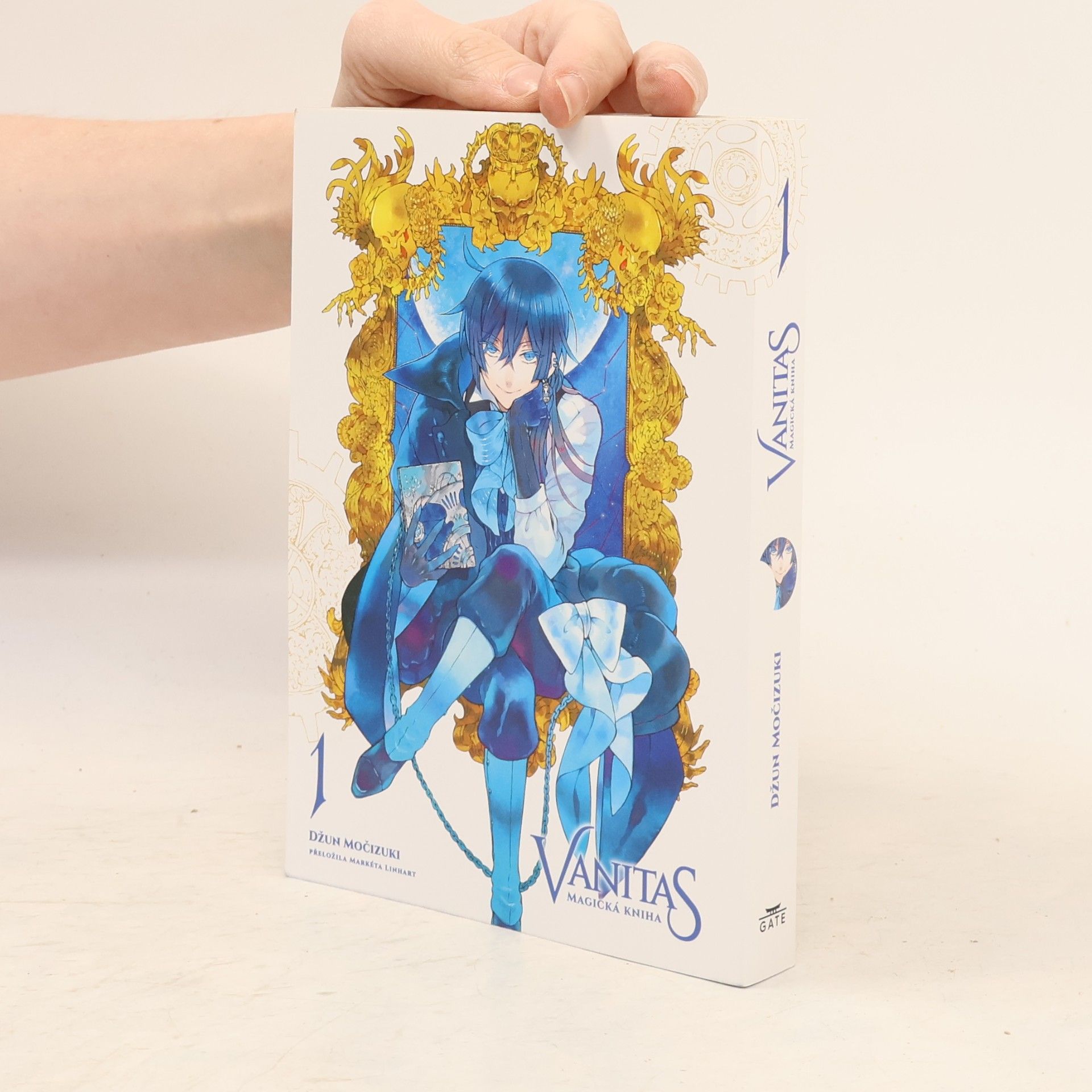Jun Mochizuki Vanitas 1