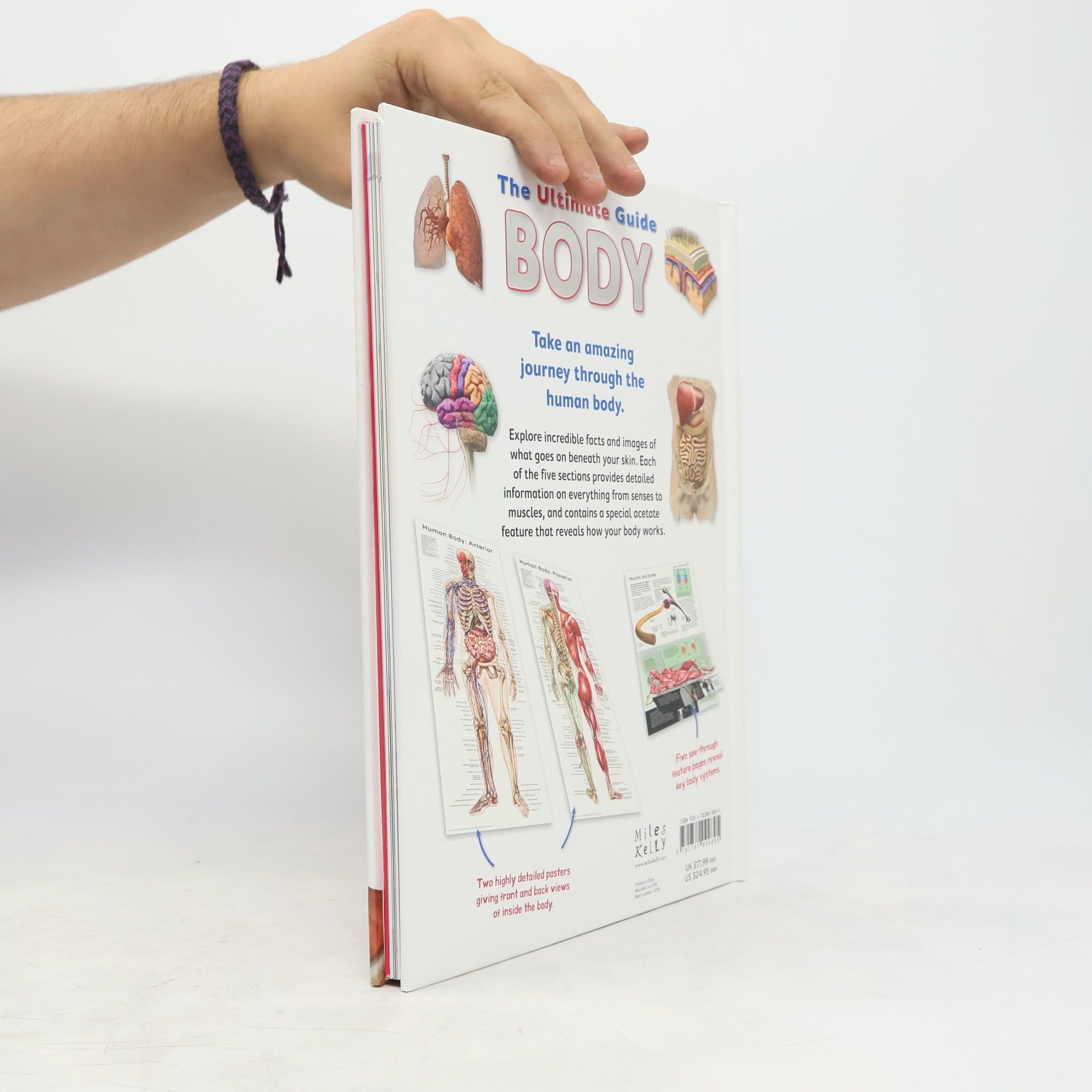 Ultimate Guide Body