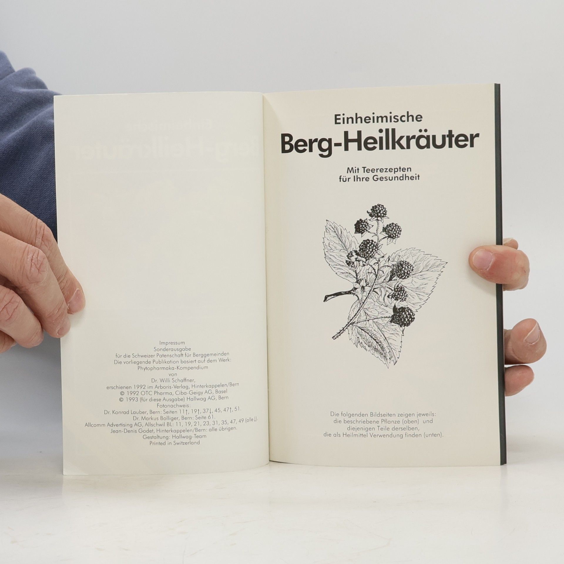 Kolektív autorov inheimische Berg-Heilkräuter