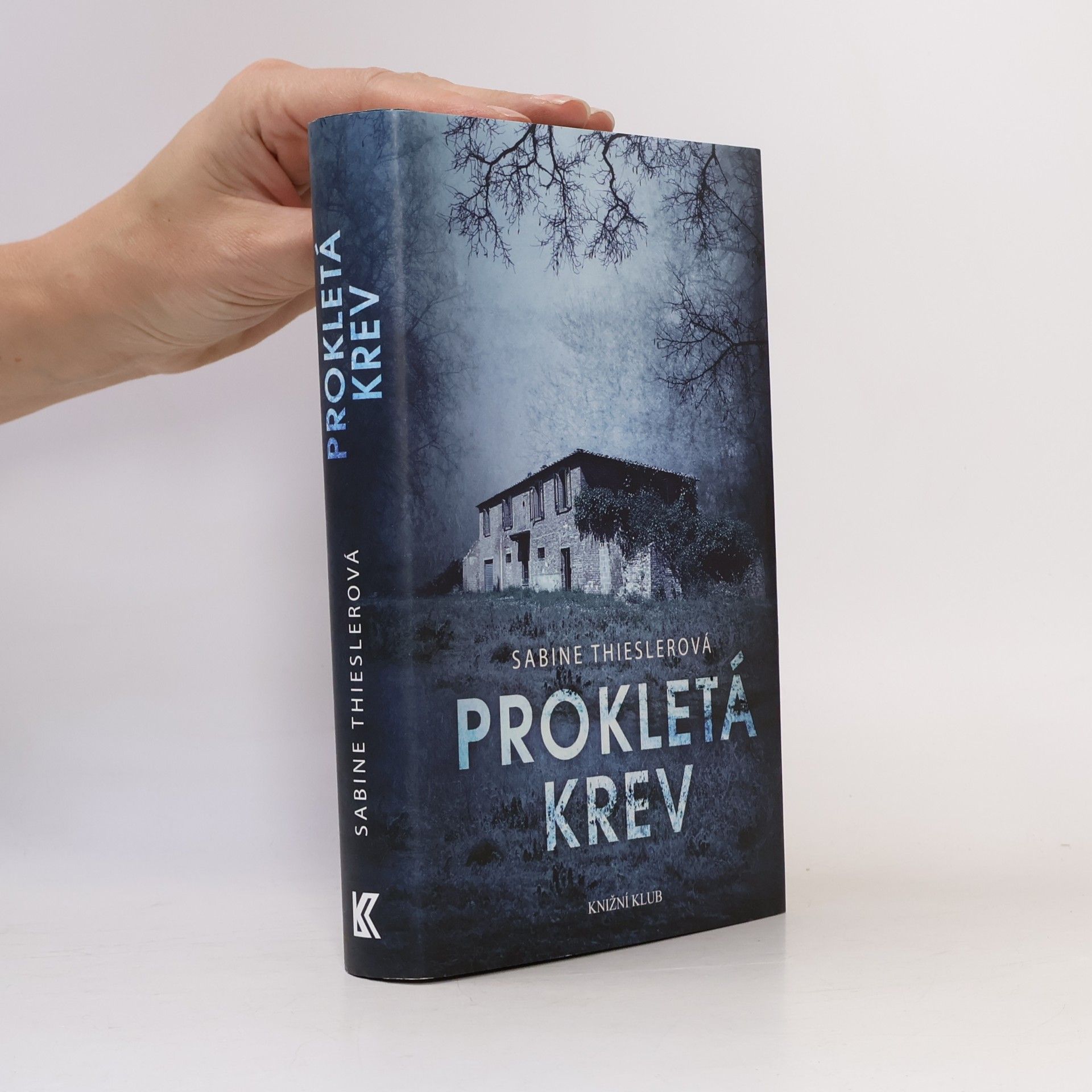 Sabine Thiesler Prokletá krev