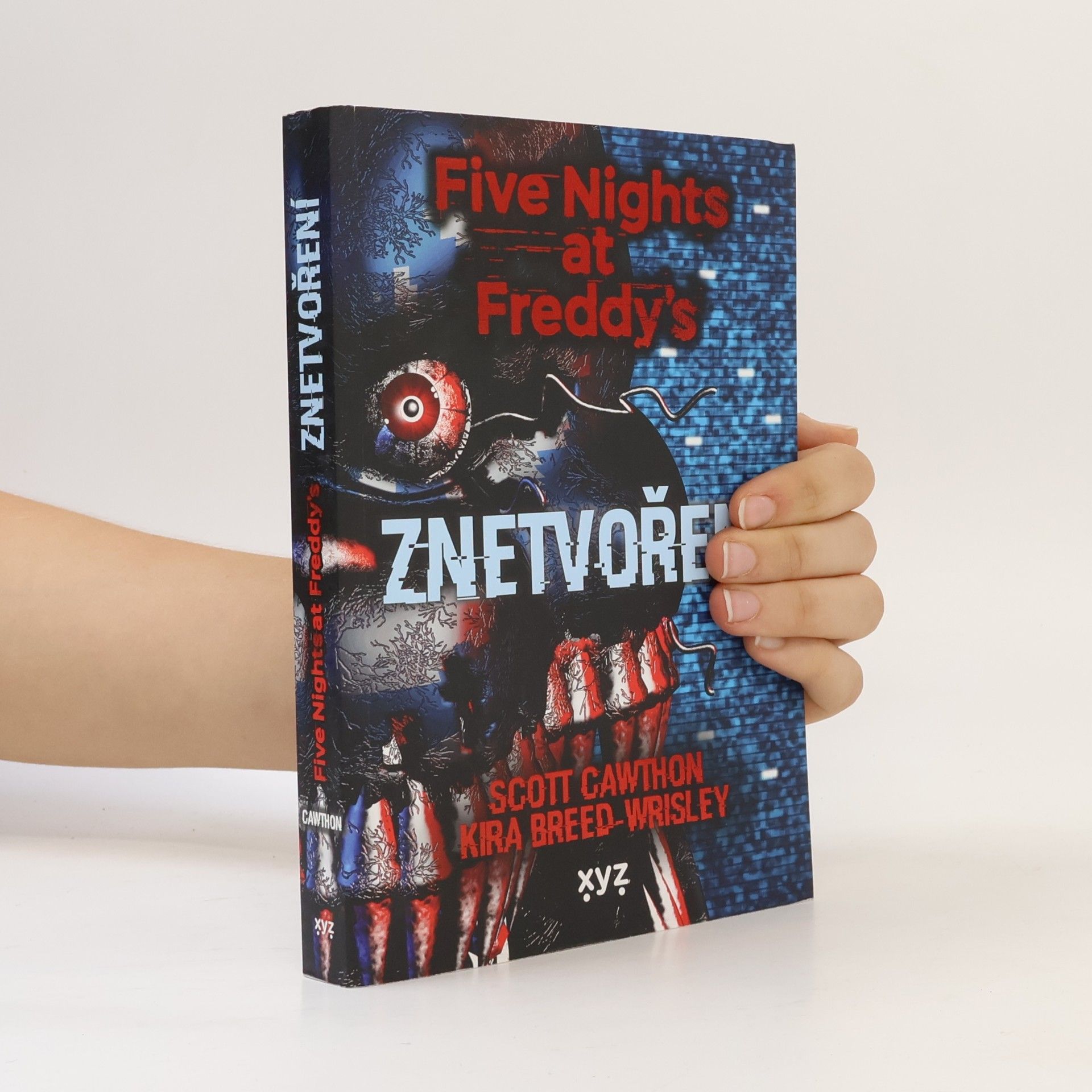 Znetvoření
