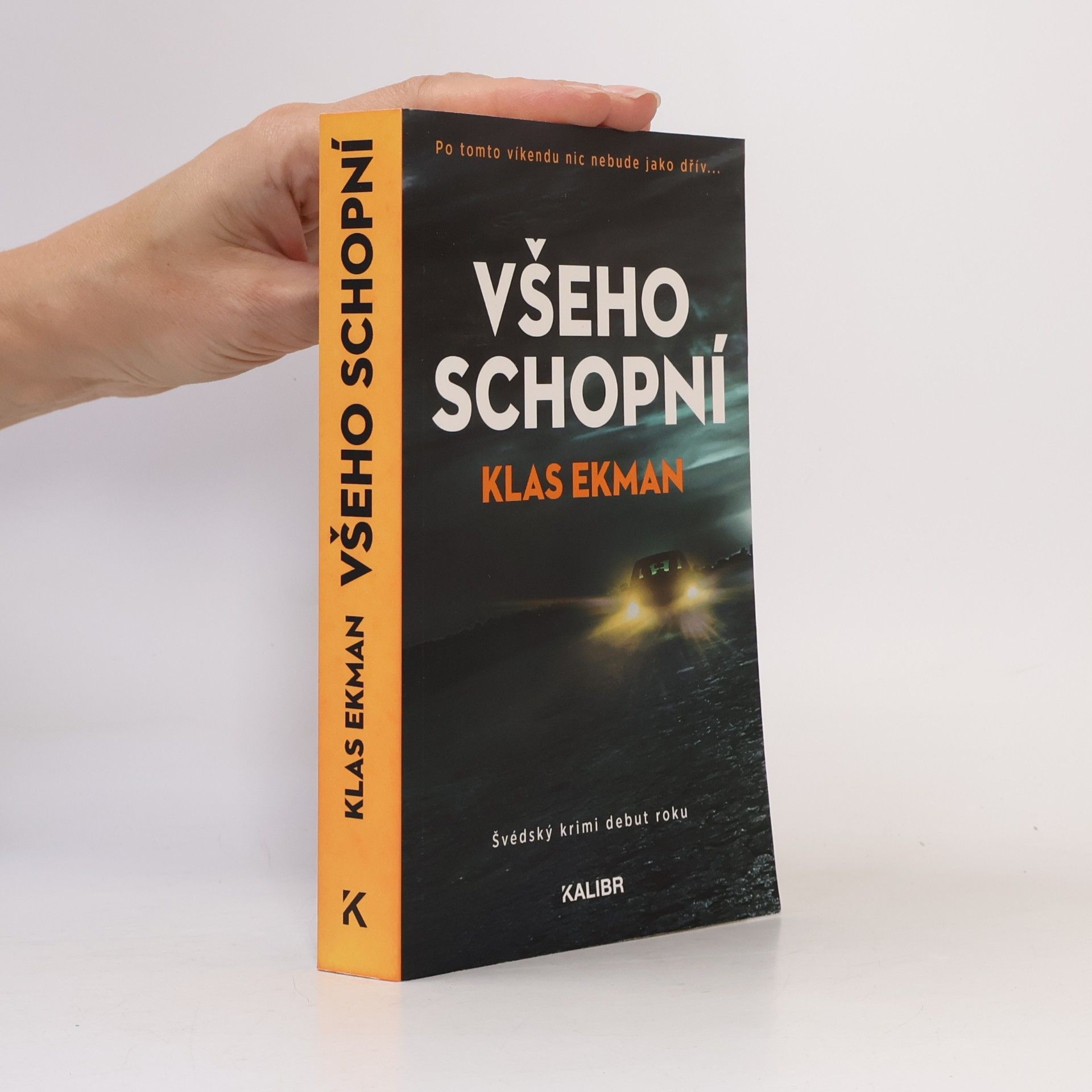 Všeho schopní