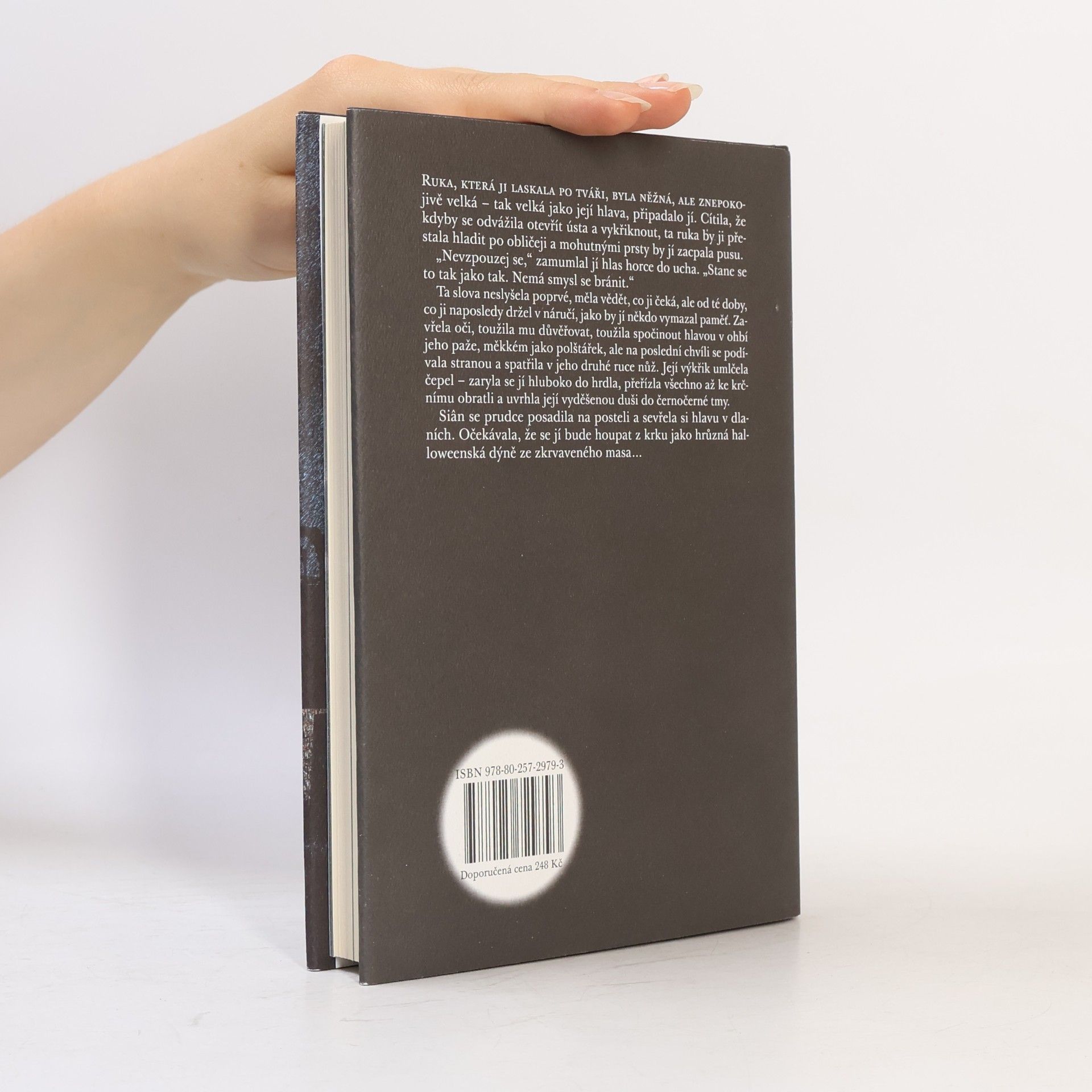 Michel Faber Sto devětadevadesát schodů