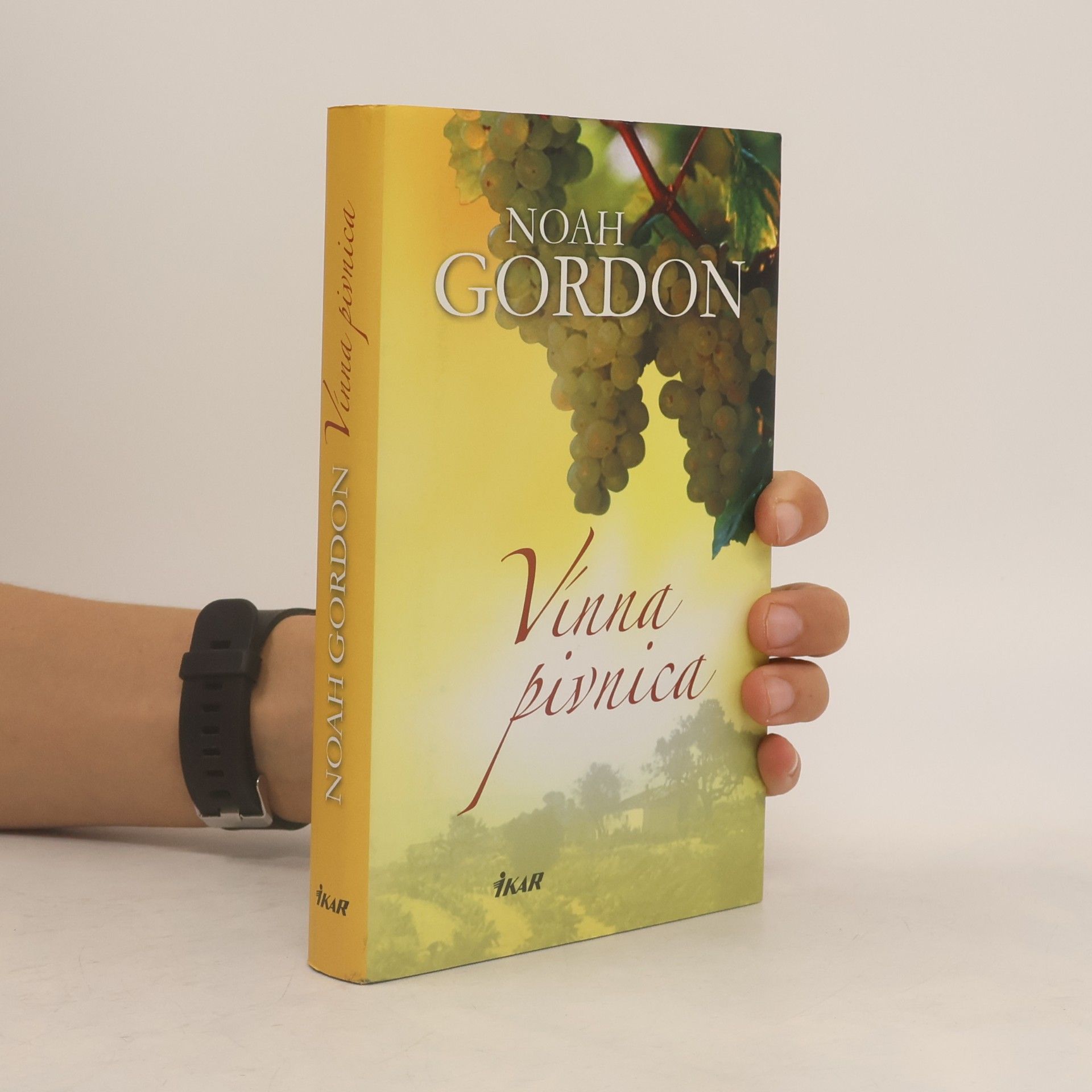 Noah Gordon Vínna pivnica