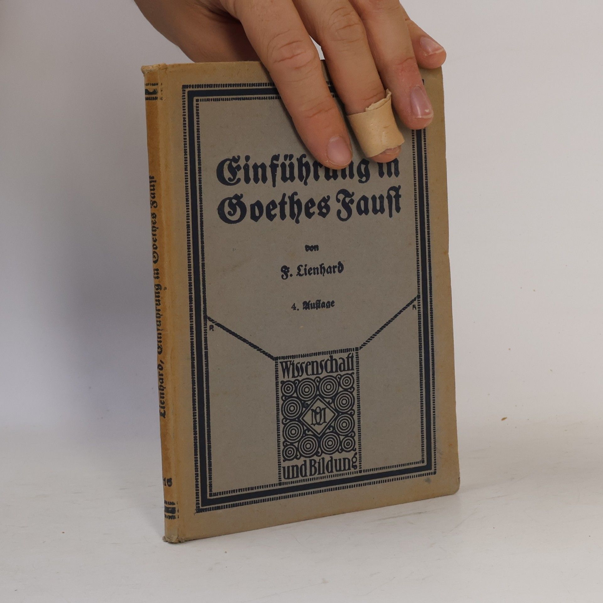 Einführung in Goethes Faust