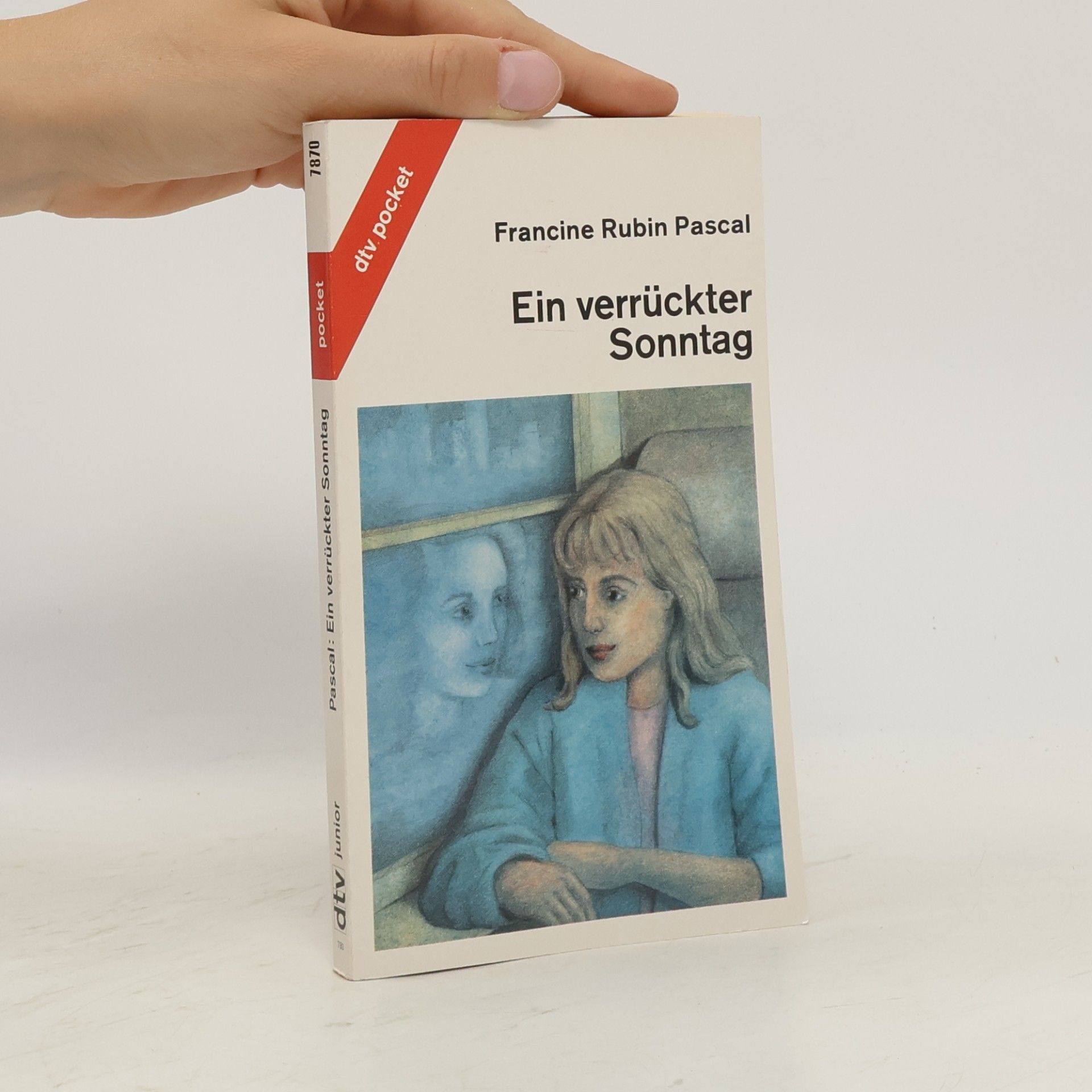 Francine Rubin Pascal Ein verrückter Sonntag.