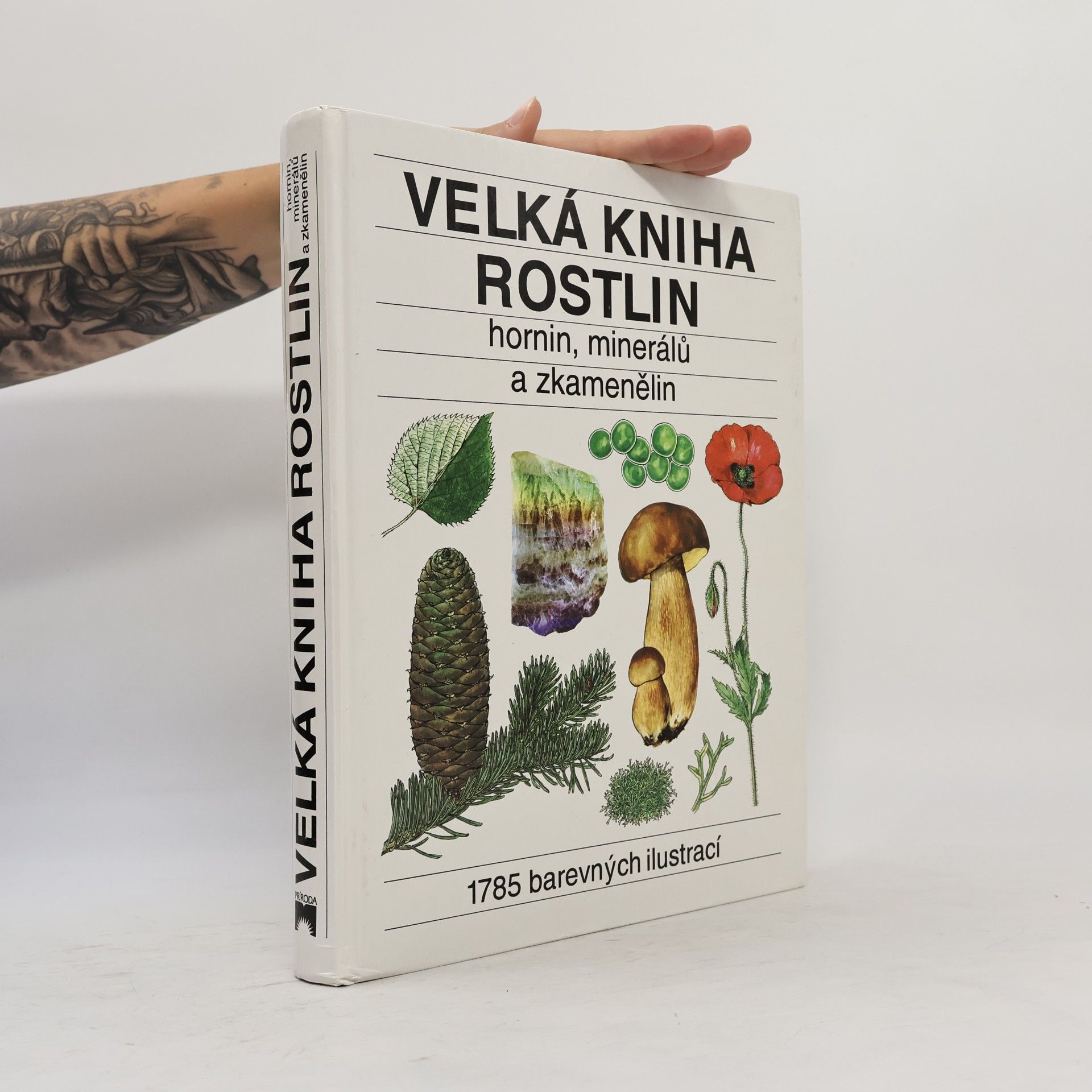 Jindřich Krejča Velká kniha rostlin, hornin, minerálů a zkamenělin