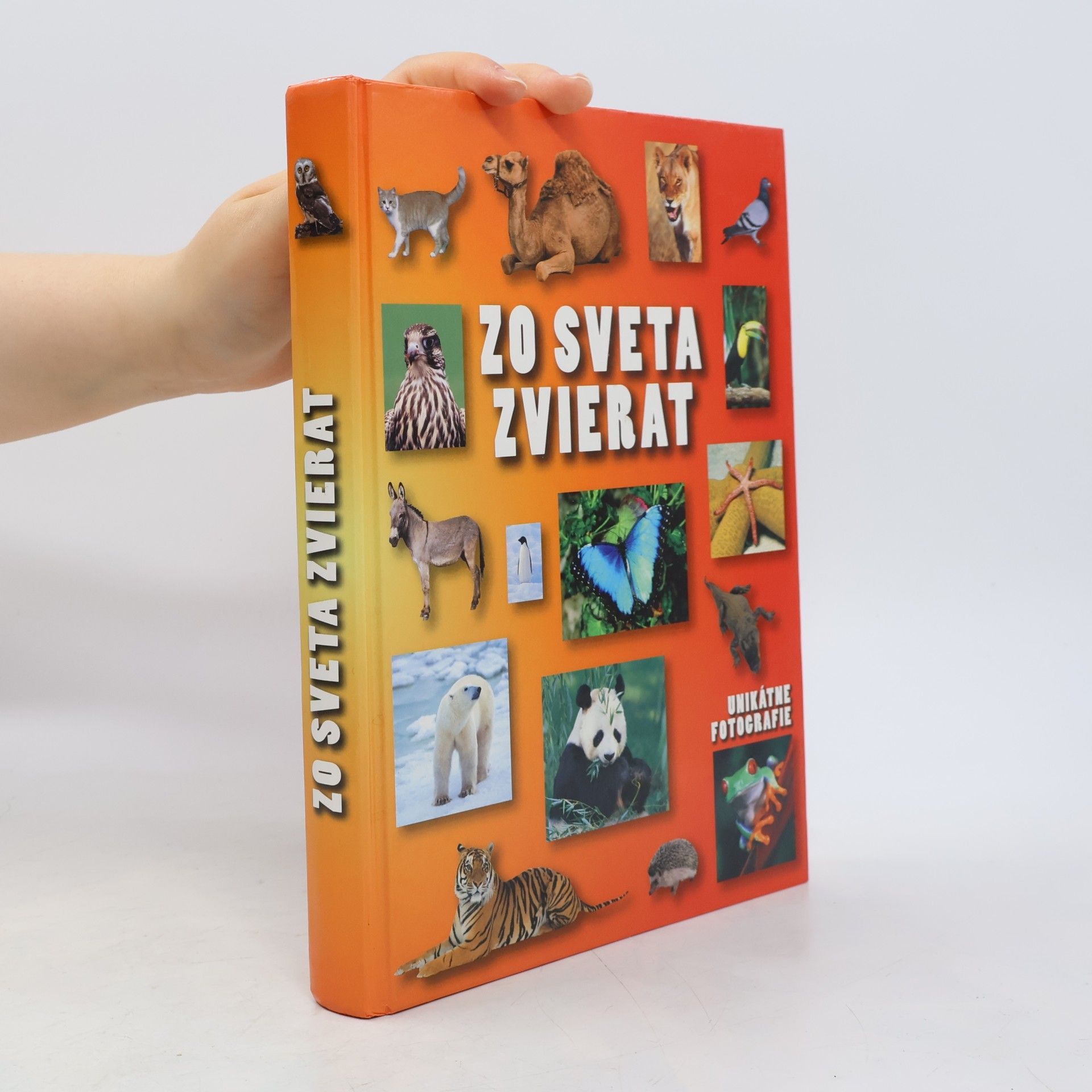 Kolektiv autorů Zo sveta zvierat