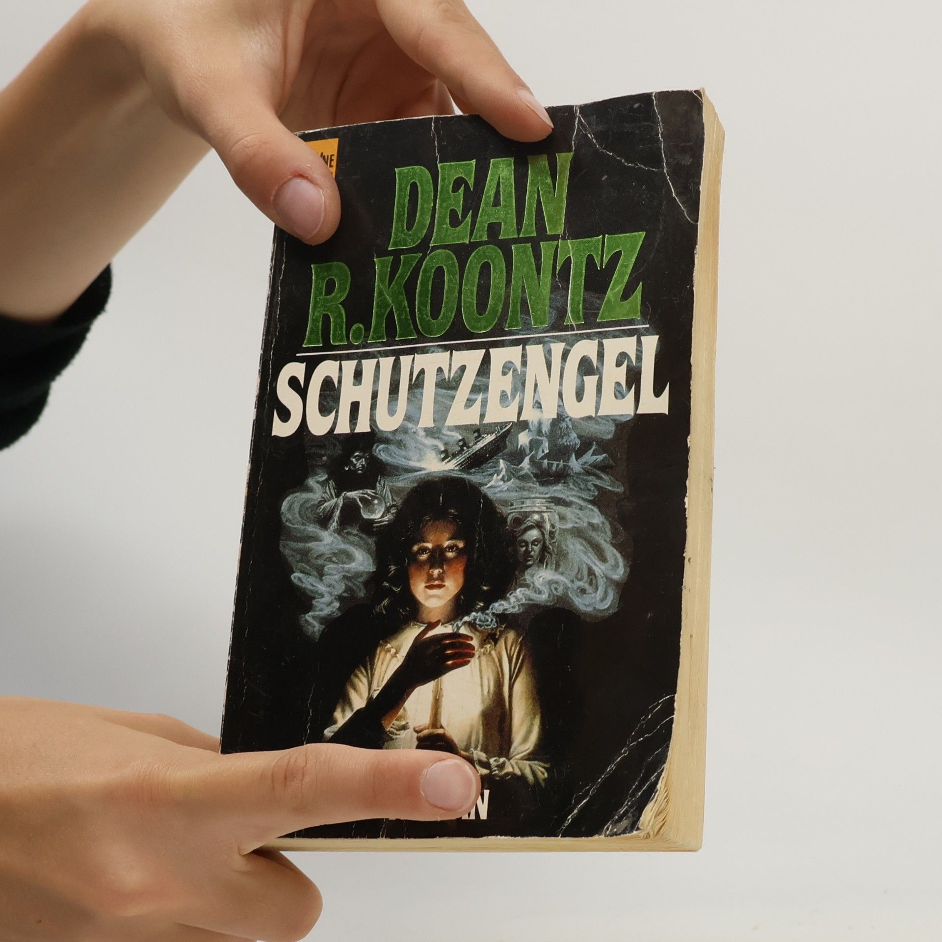 Dean Ray Koontz Der Schutzengel