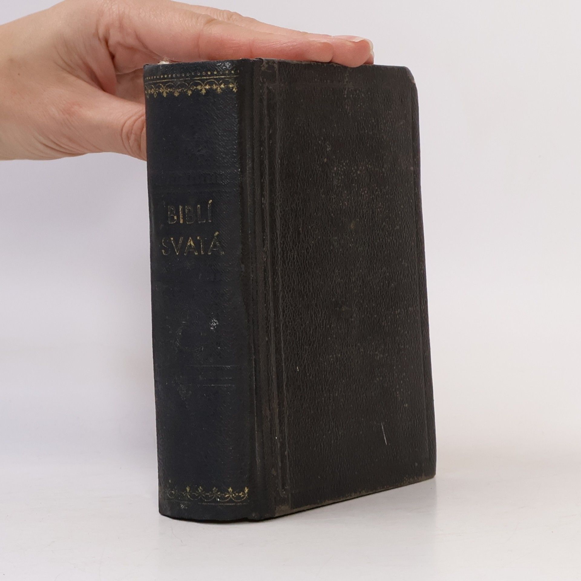 Collectif d'auteurs Biblí svatá aneb všecka svatá písma starého i nového zákona