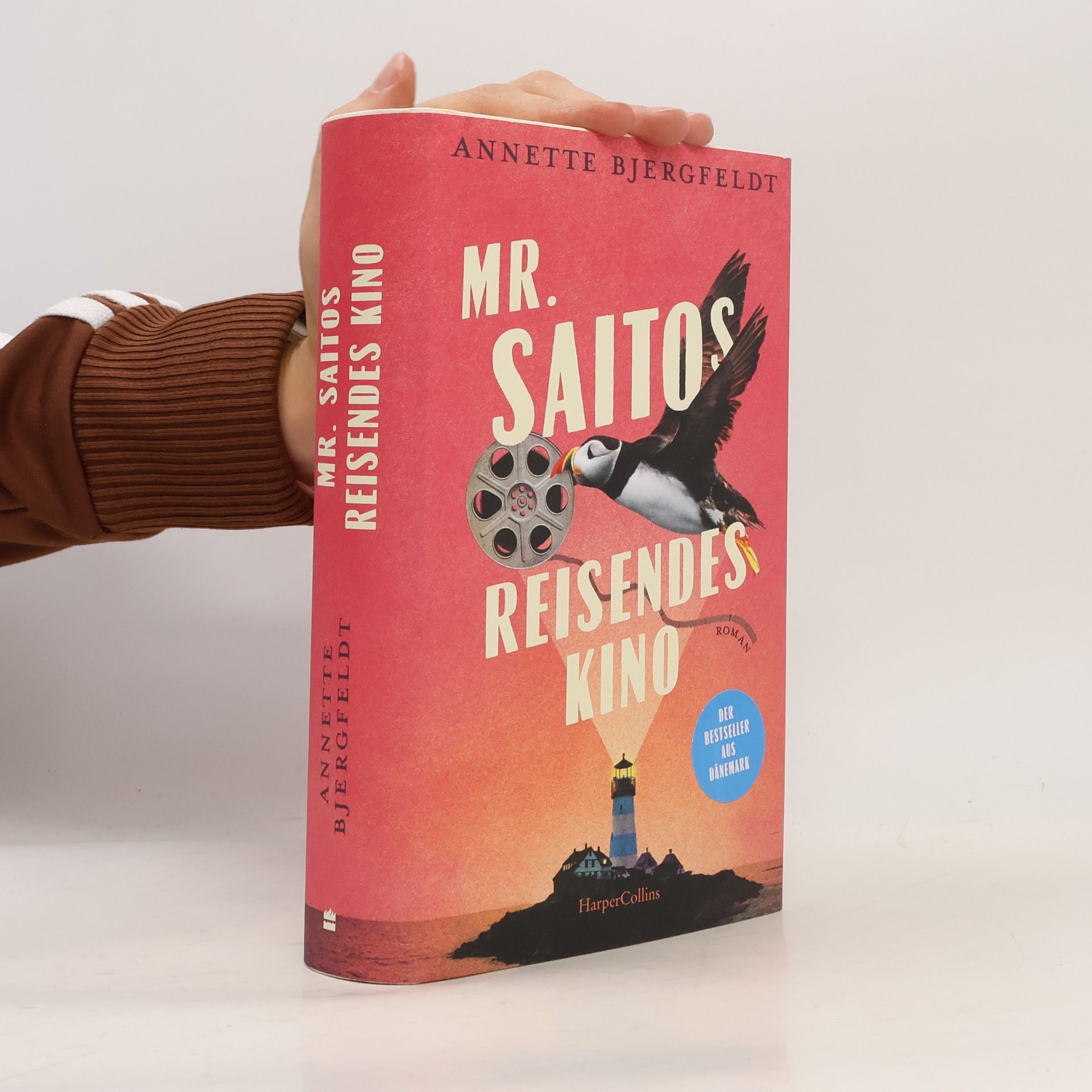 Annette Bjergfeldt Mr. Saitos reisendes Kino