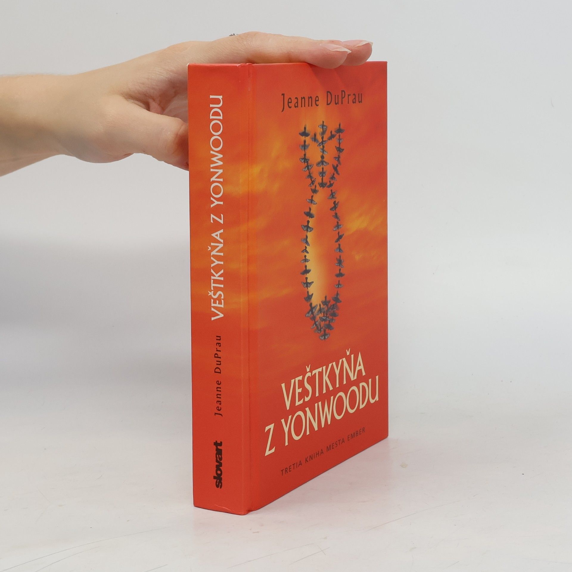Jeanne DuPrau Veštkyňa z Yonwoodu