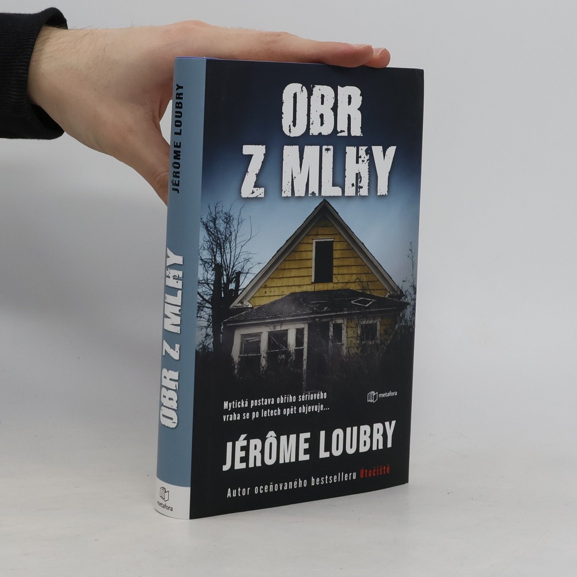 Jérôme Loubry Obr z mlhy