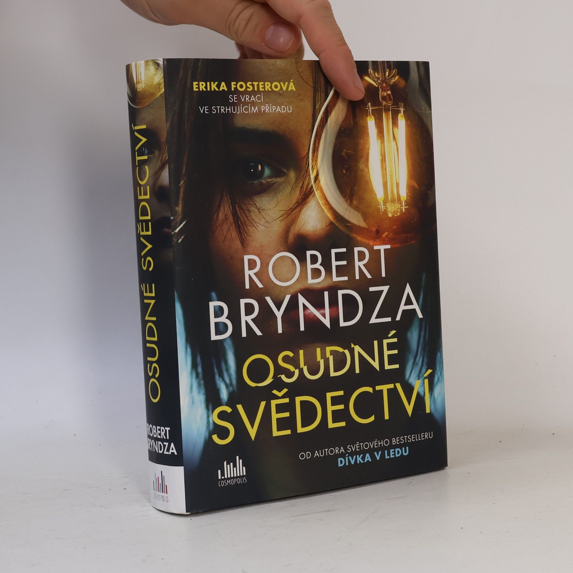 Robert Bryndza Osudné svědectví