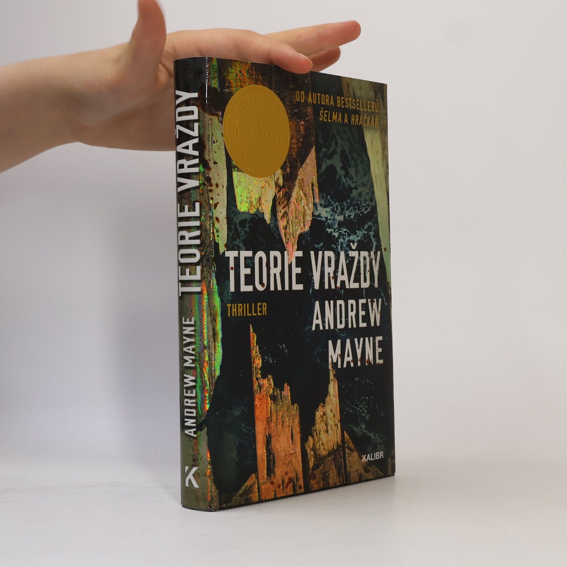 Andrew Mayne Teorie vraždy