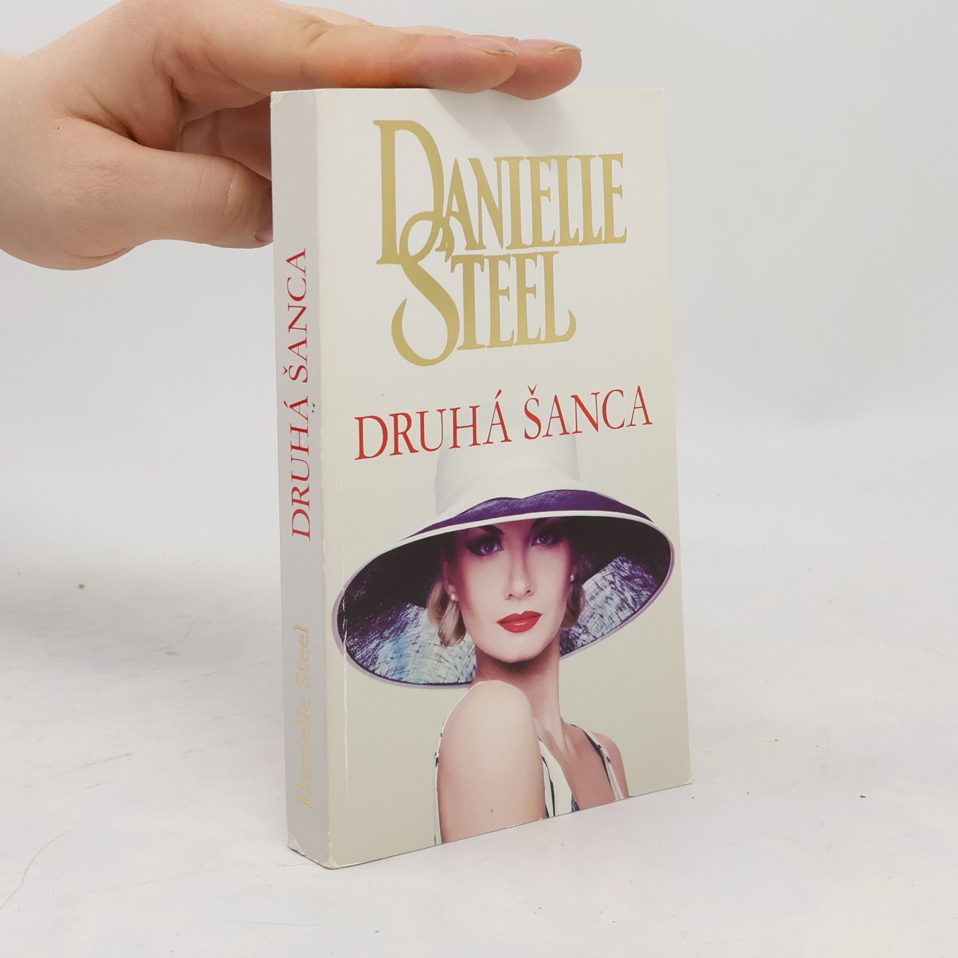 Danielle Steelová Druhá šanca