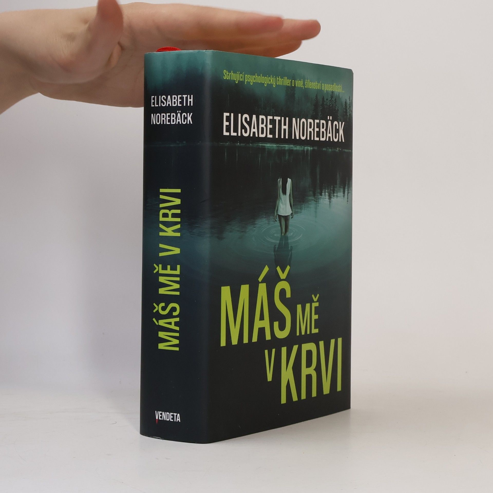 Elisabeth Norebäck Máš mě v krvi