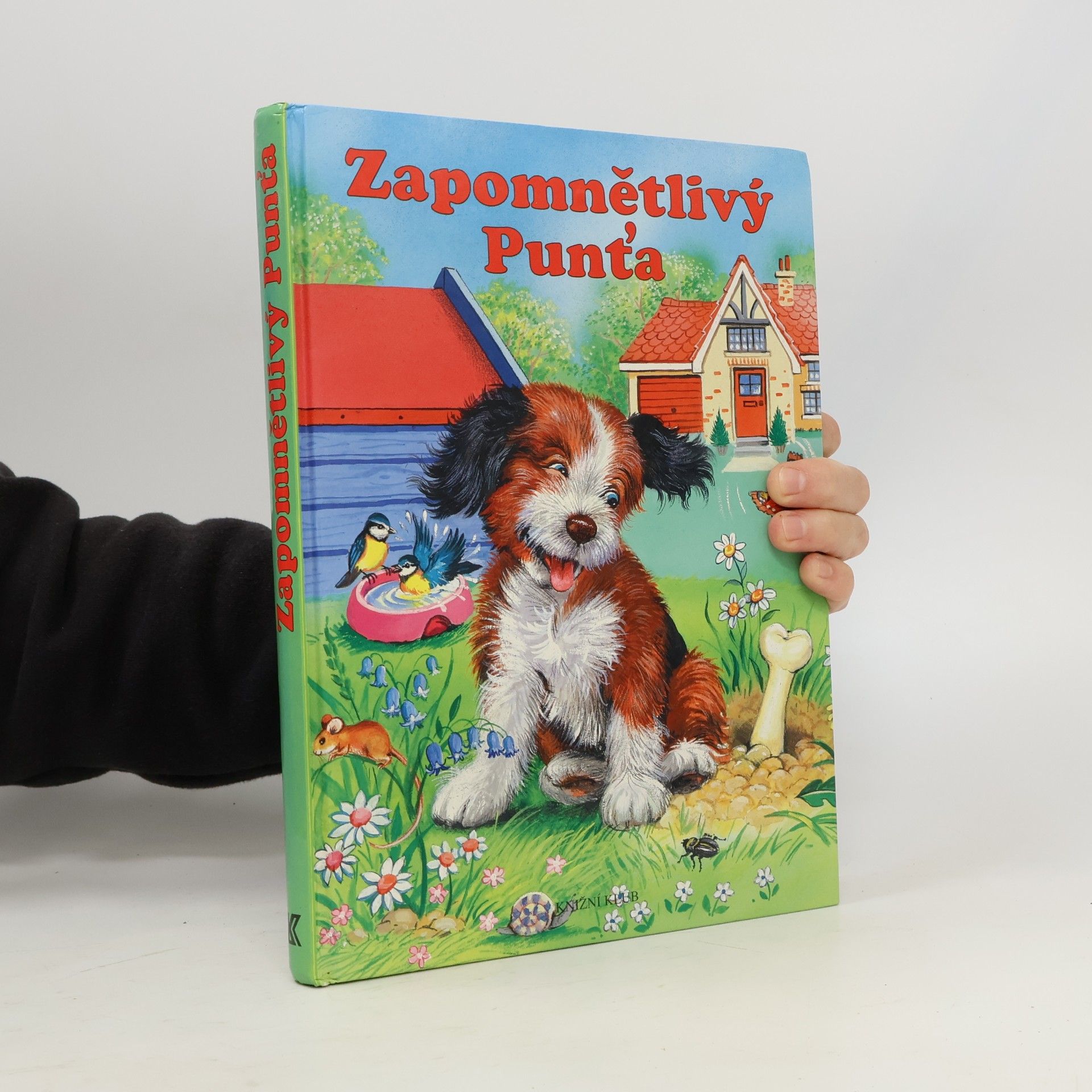 Zapomnětlivý Punťa