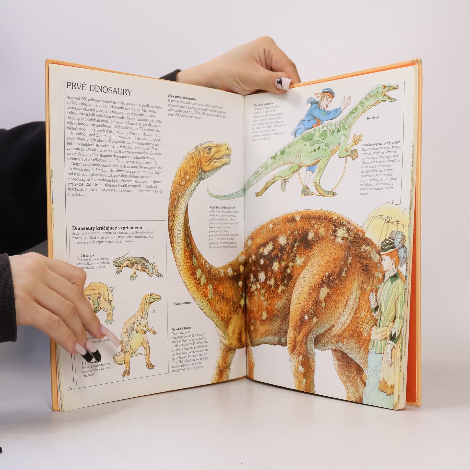 kolektiv Ako žili dinosaury