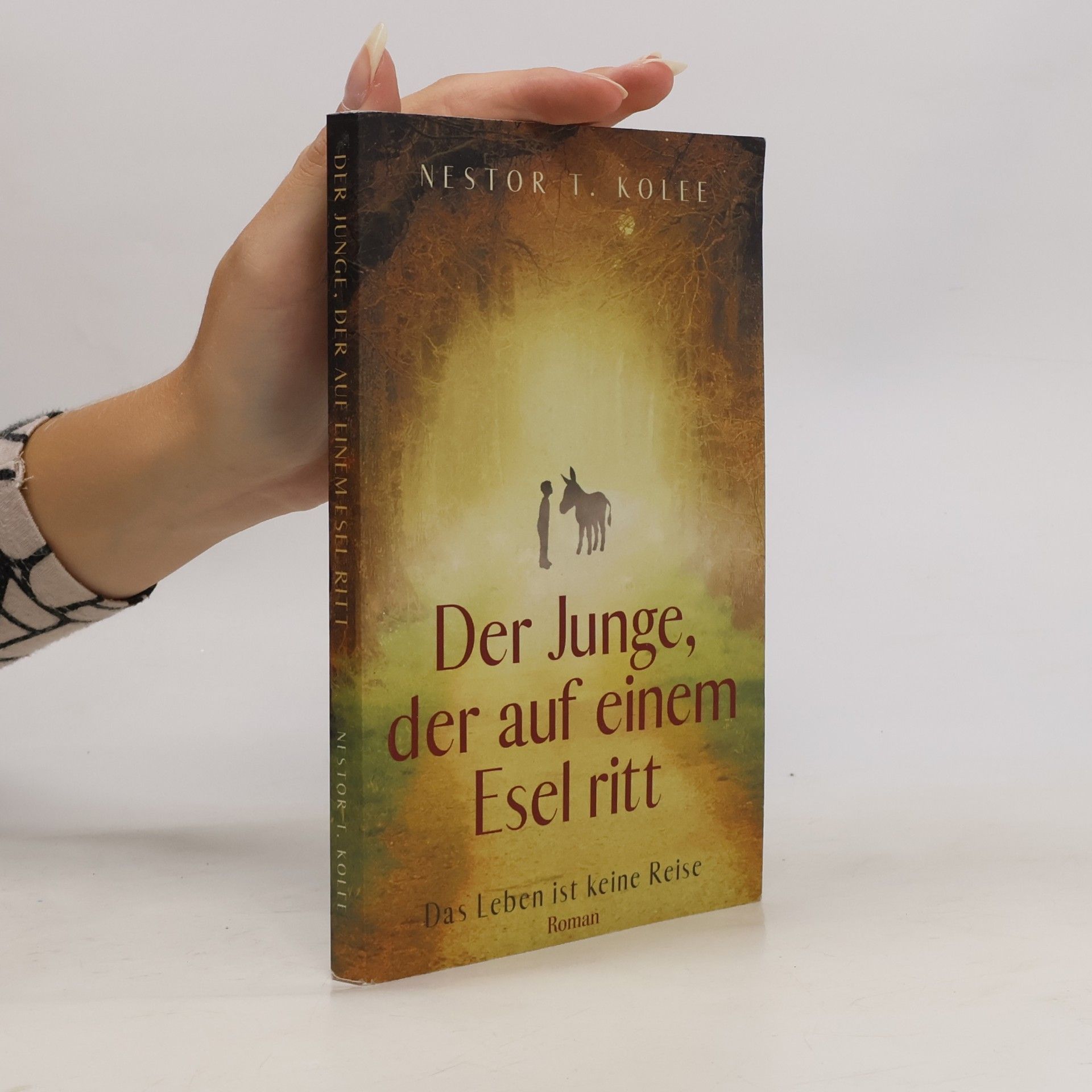 Junge, der Auf Einem Esel ritt