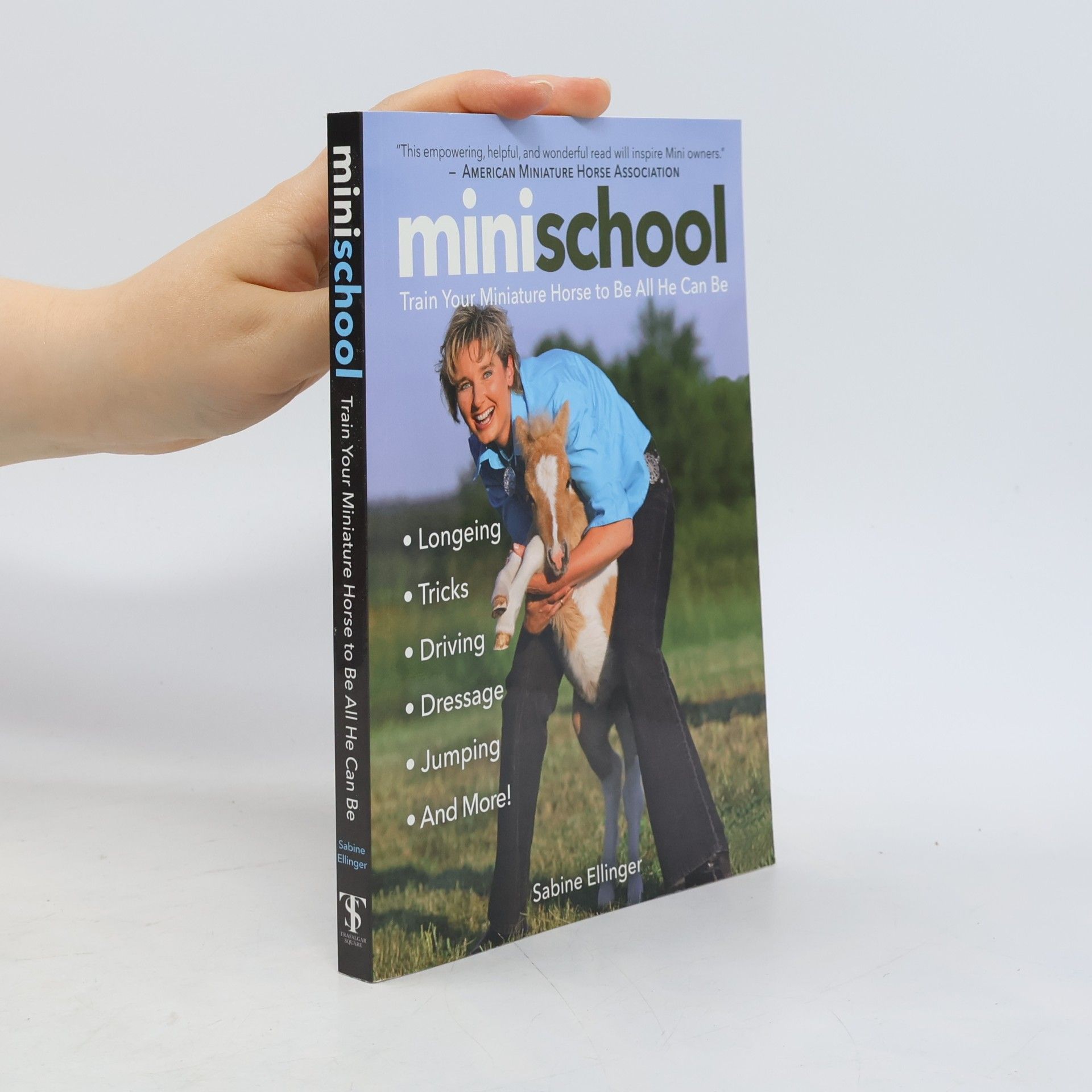 Sabine Ellinger Mini School