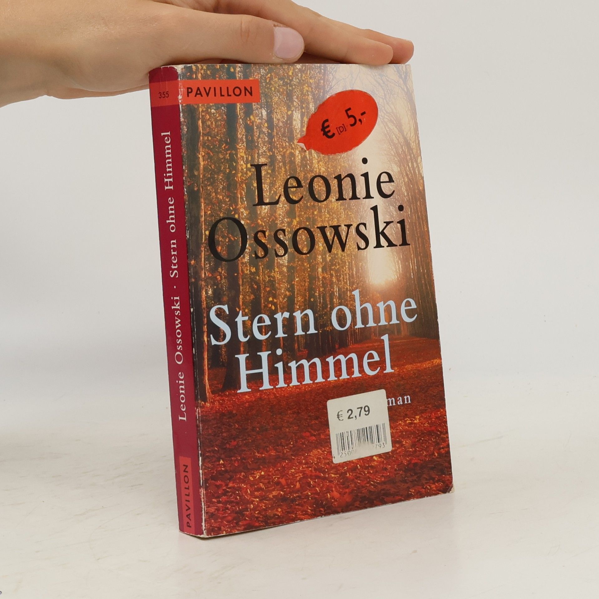 Leonie Ossowski Stern ohne Himmel