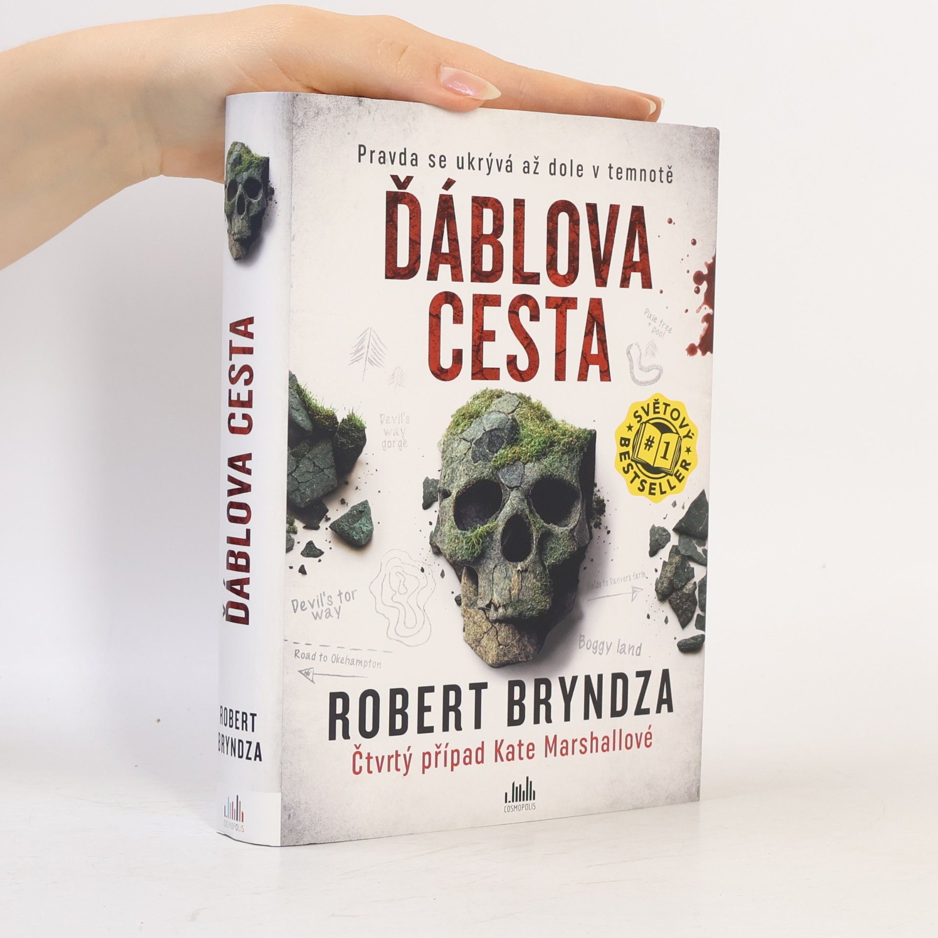 Robert Bryndza Ďáblova cesta