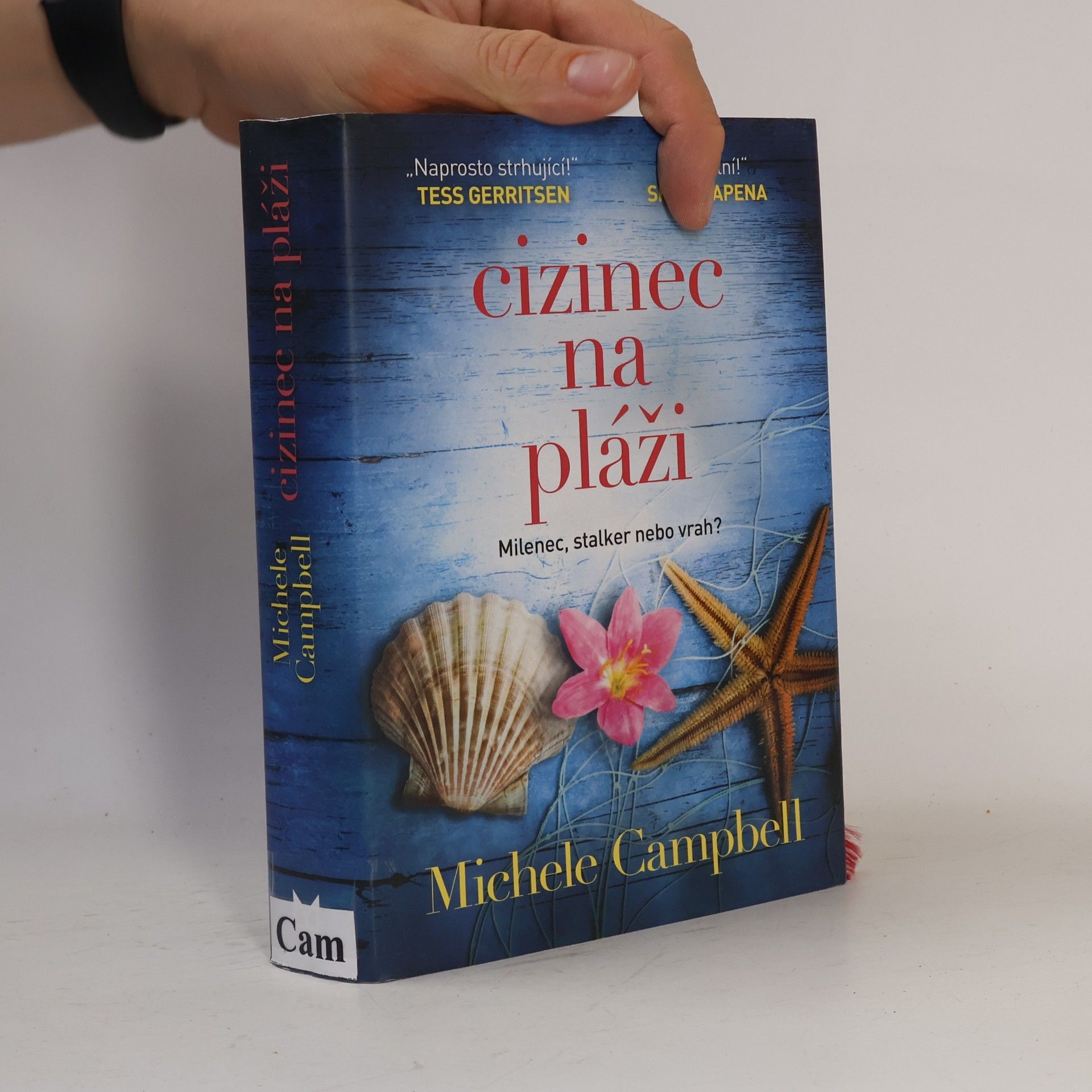 Michele Campbell Cizinec na pláži