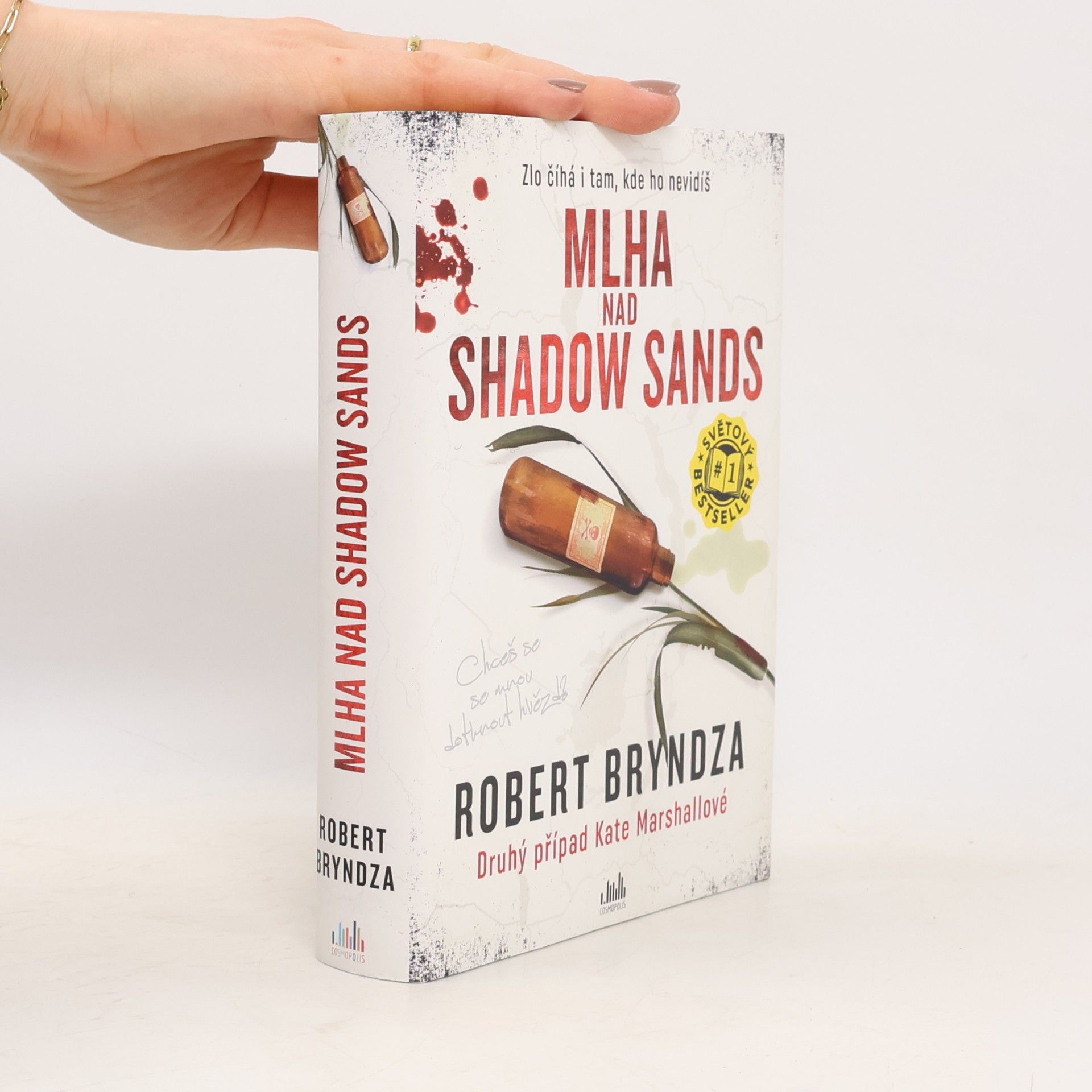 Robert Bryndza Mlha nad Shadow Sands