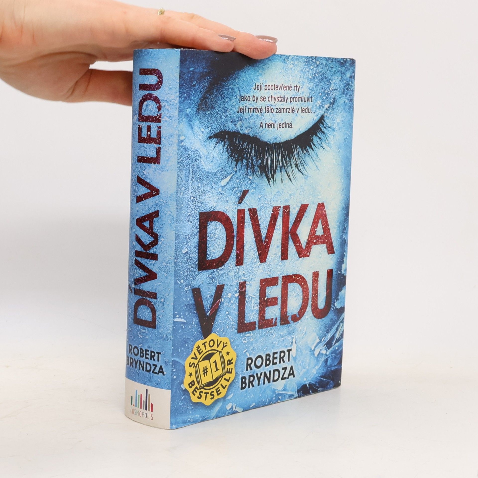 Robert Bryndza Dívka v ledu