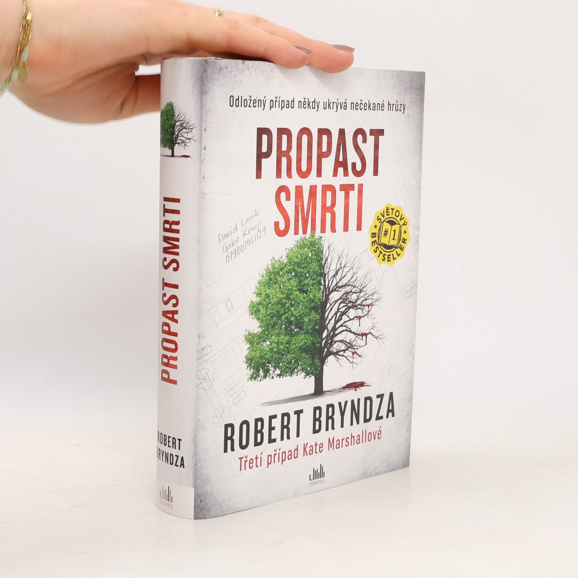 Robert Bryndza Propast smrti